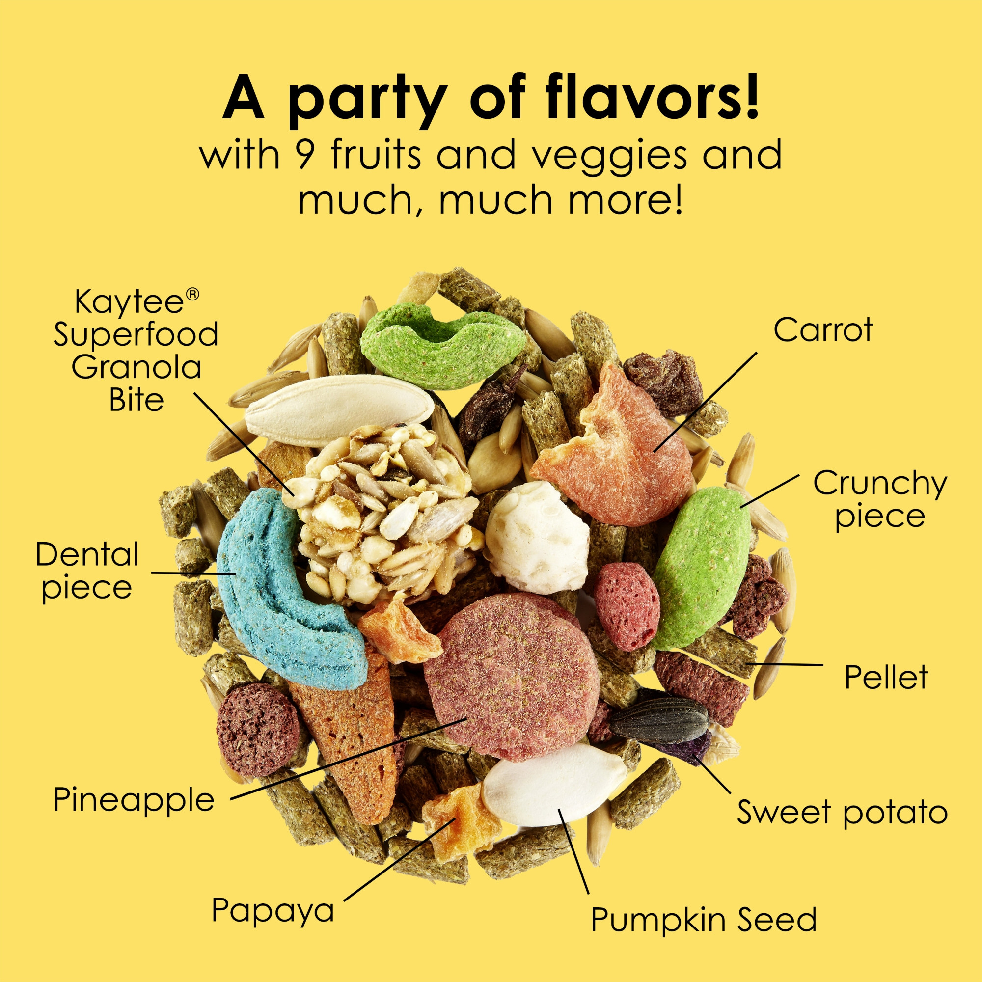 Kaytee Fiesta Rabbit Food Mix, 25lbs – Supports Immune Health and Digestion