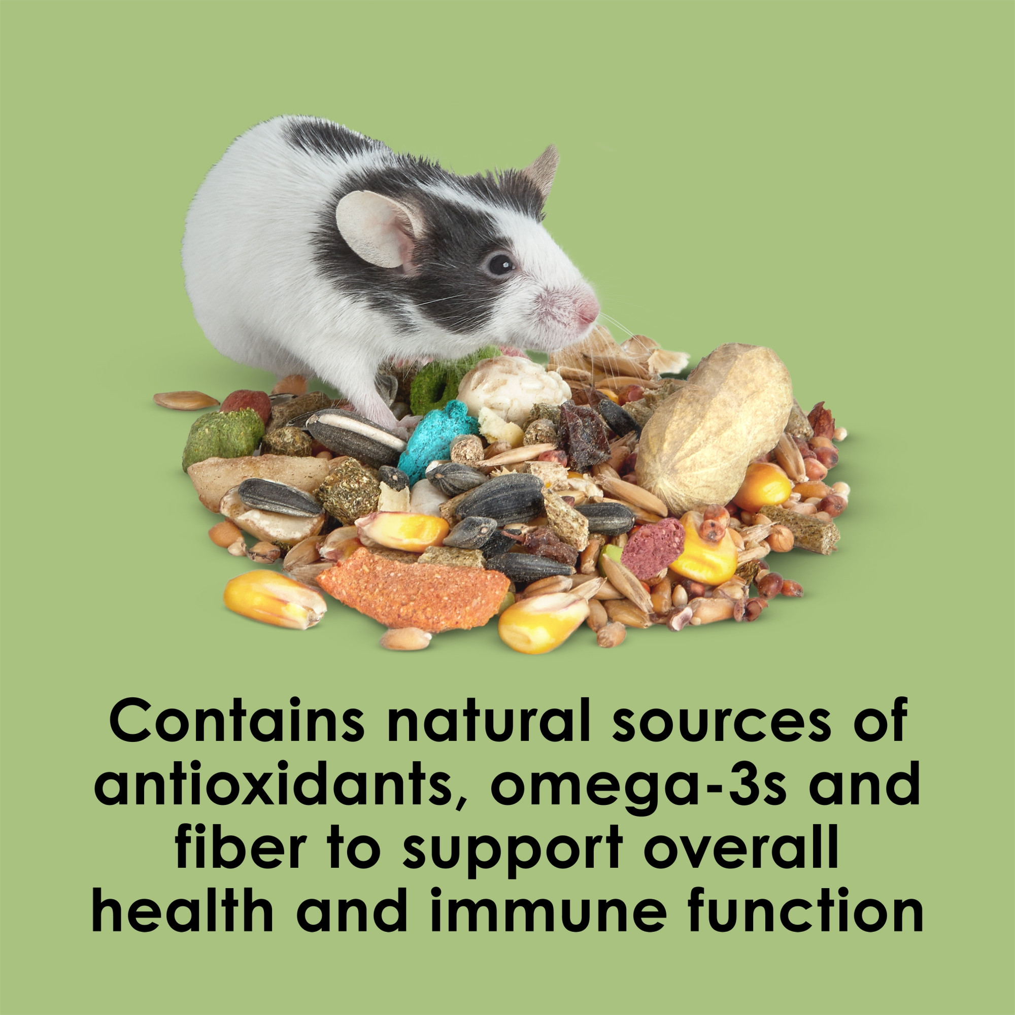 Kaytee Fiesta Mouse and Rat Food, 15lbs – Supports Immune Health and Digestion