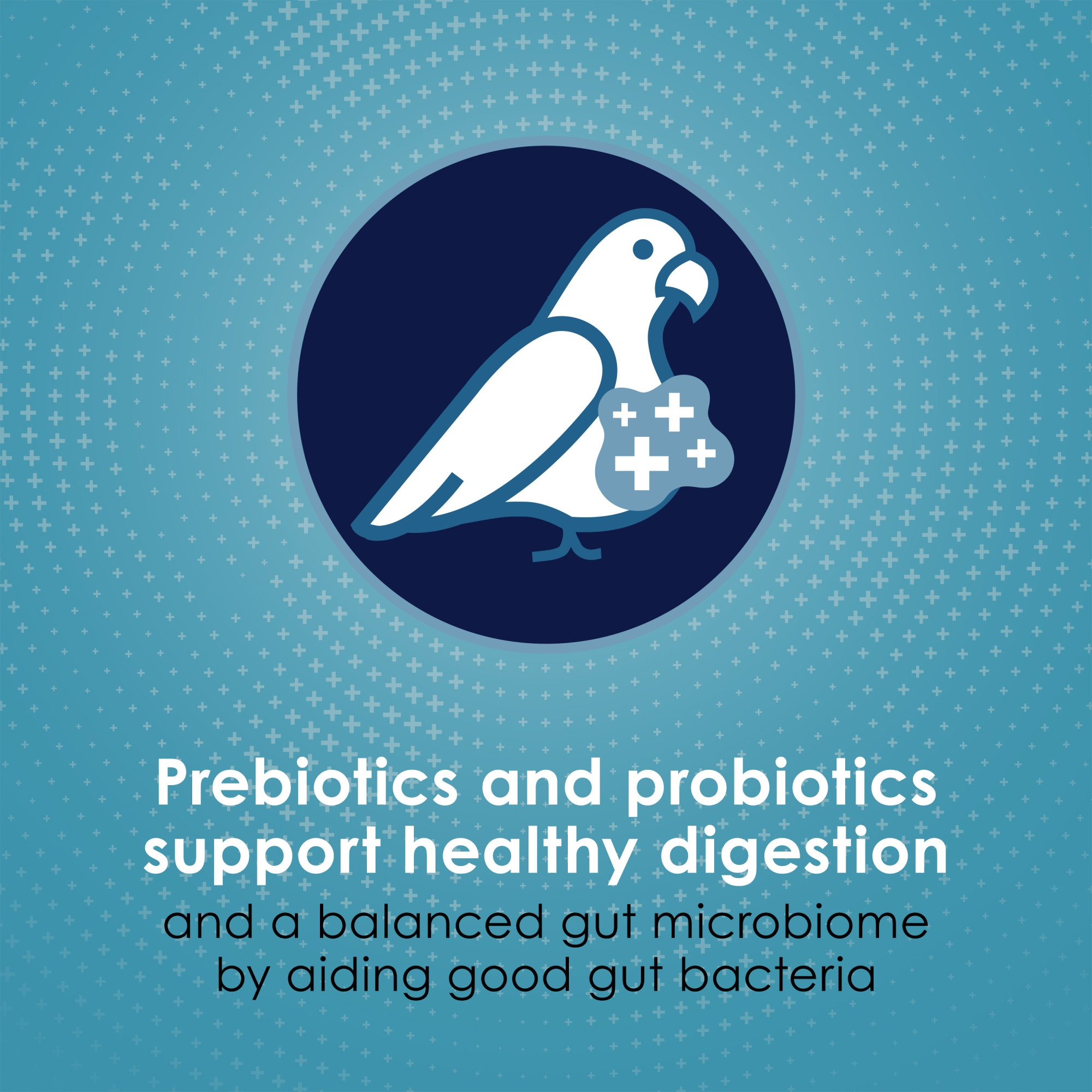 Keytee Forti-Diet Pro Health Nourish+Protect Parrot Food, 25lbs