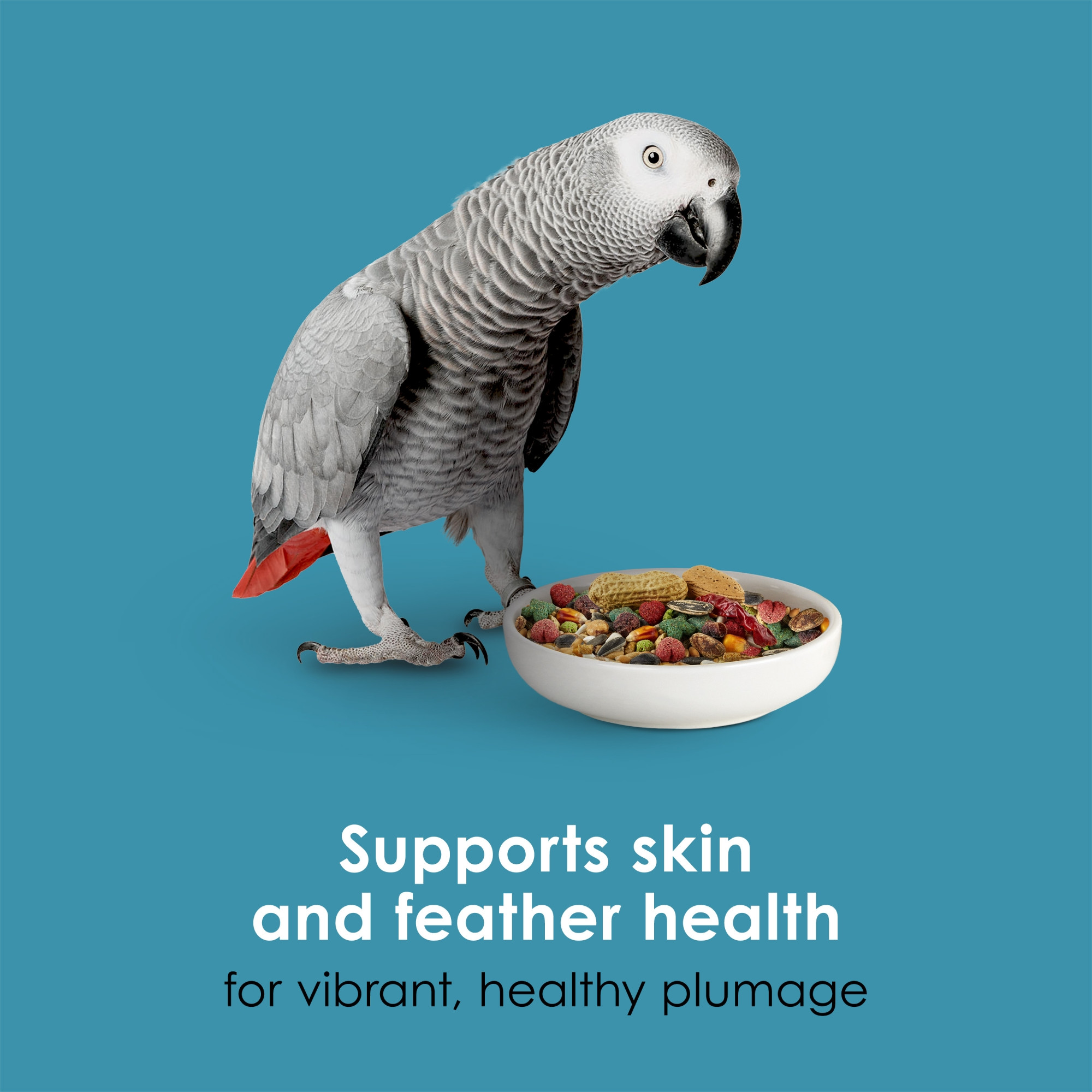 Keytee Forti-Diet Pro Health Nourish+Protect Parrot Food, 25lbs