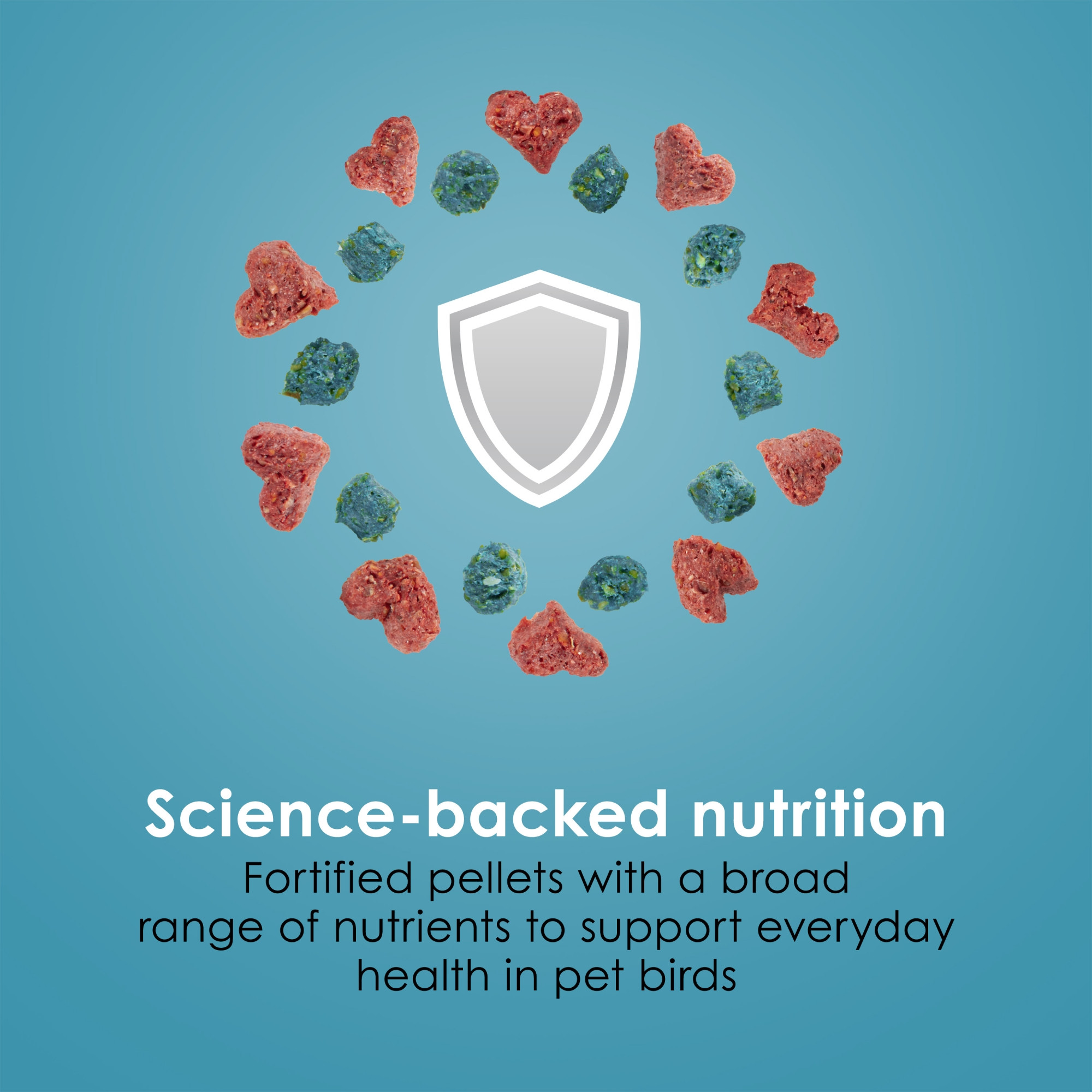 Kaytee Forti-Diet Pro Health Nourish+Protect Parrot Food, 25lbs