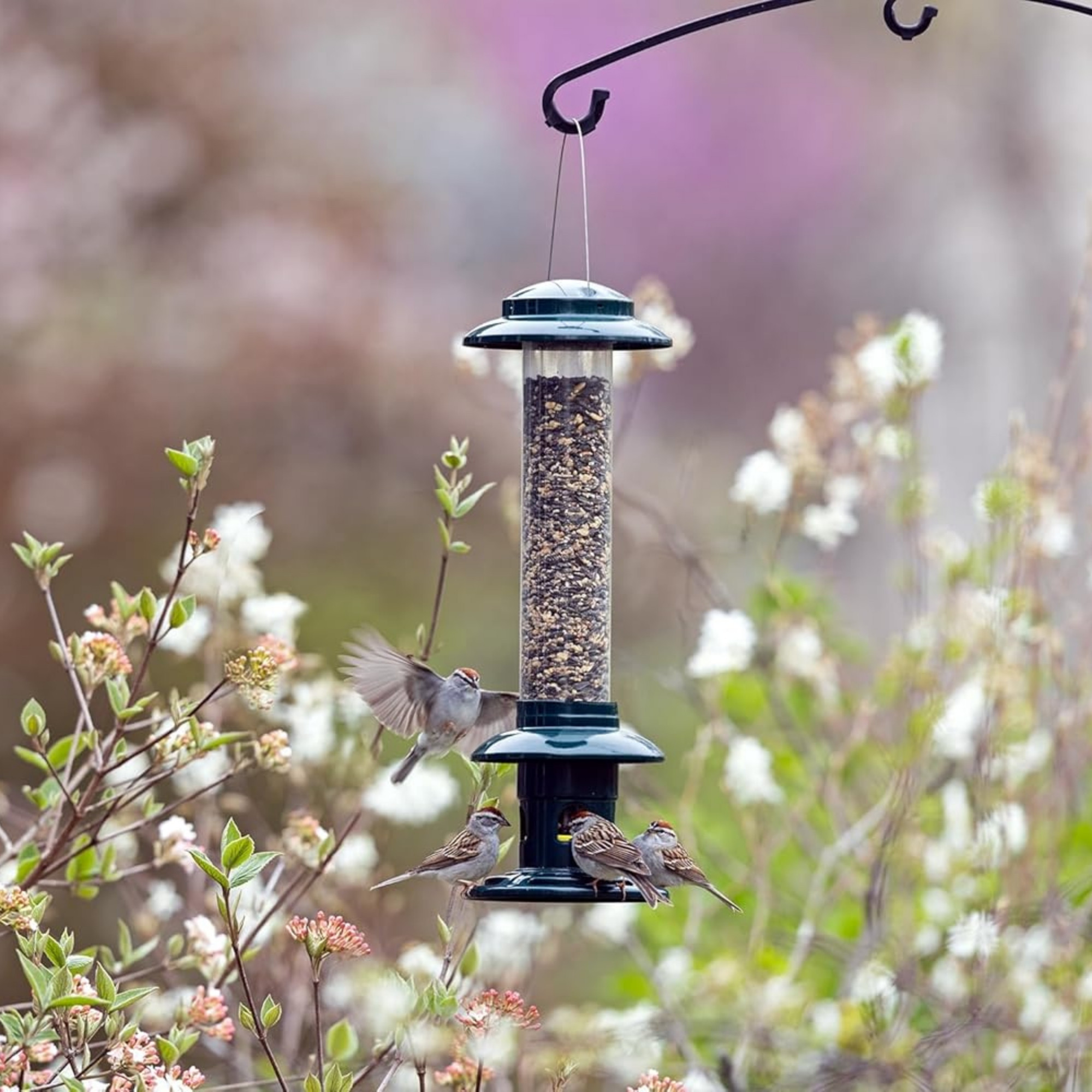 Brome Squirrel Buster Evolution Bird Feeder with Double Cardinal Ring