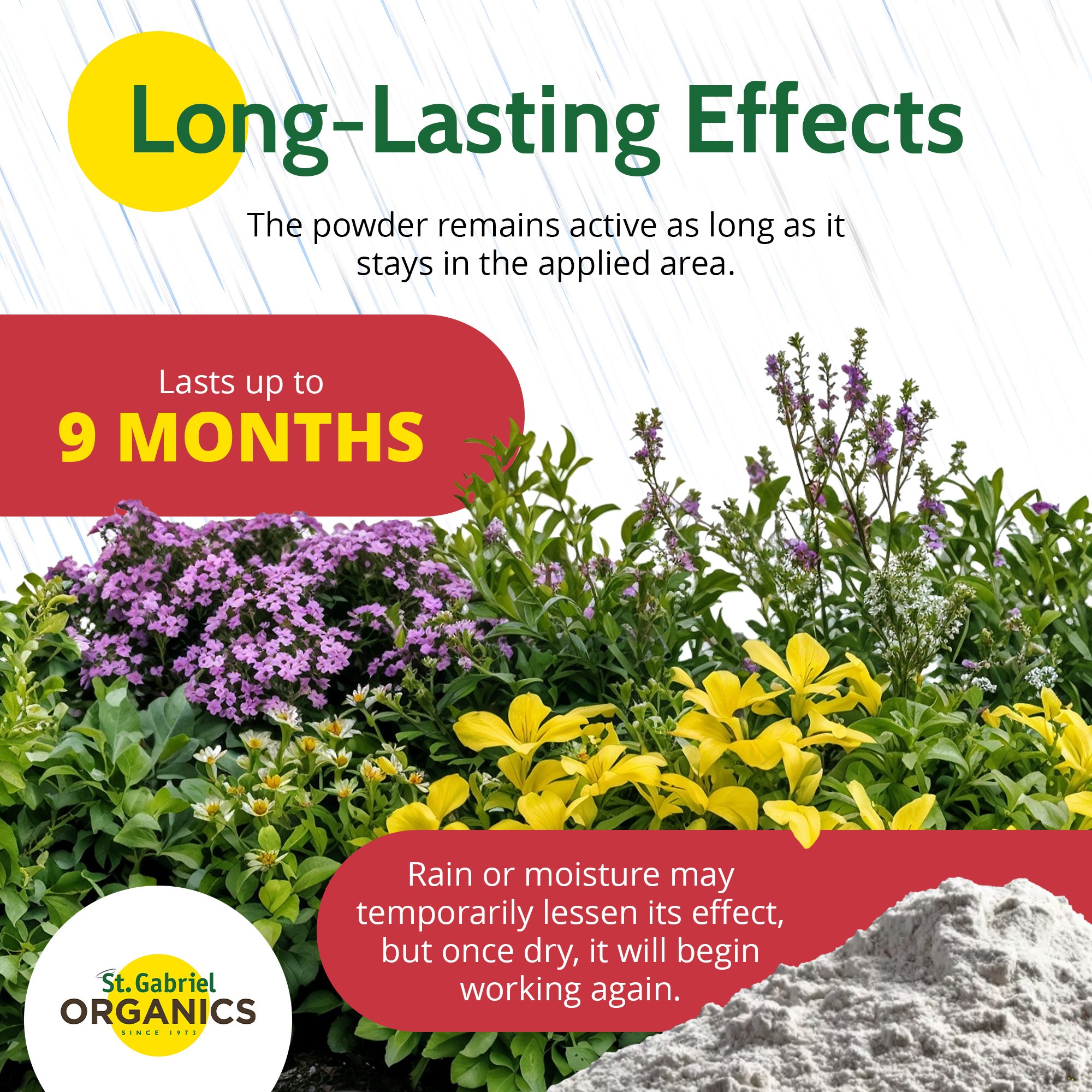 St. Gabriel Organics Insect Dust Diatomaceous Earth Insect Control