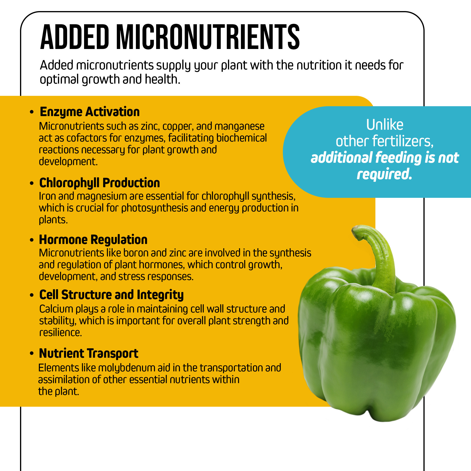 Jack's Nutrients 15-0-0 Part B Calcium Nitrate Water-Soluble Fertilizer