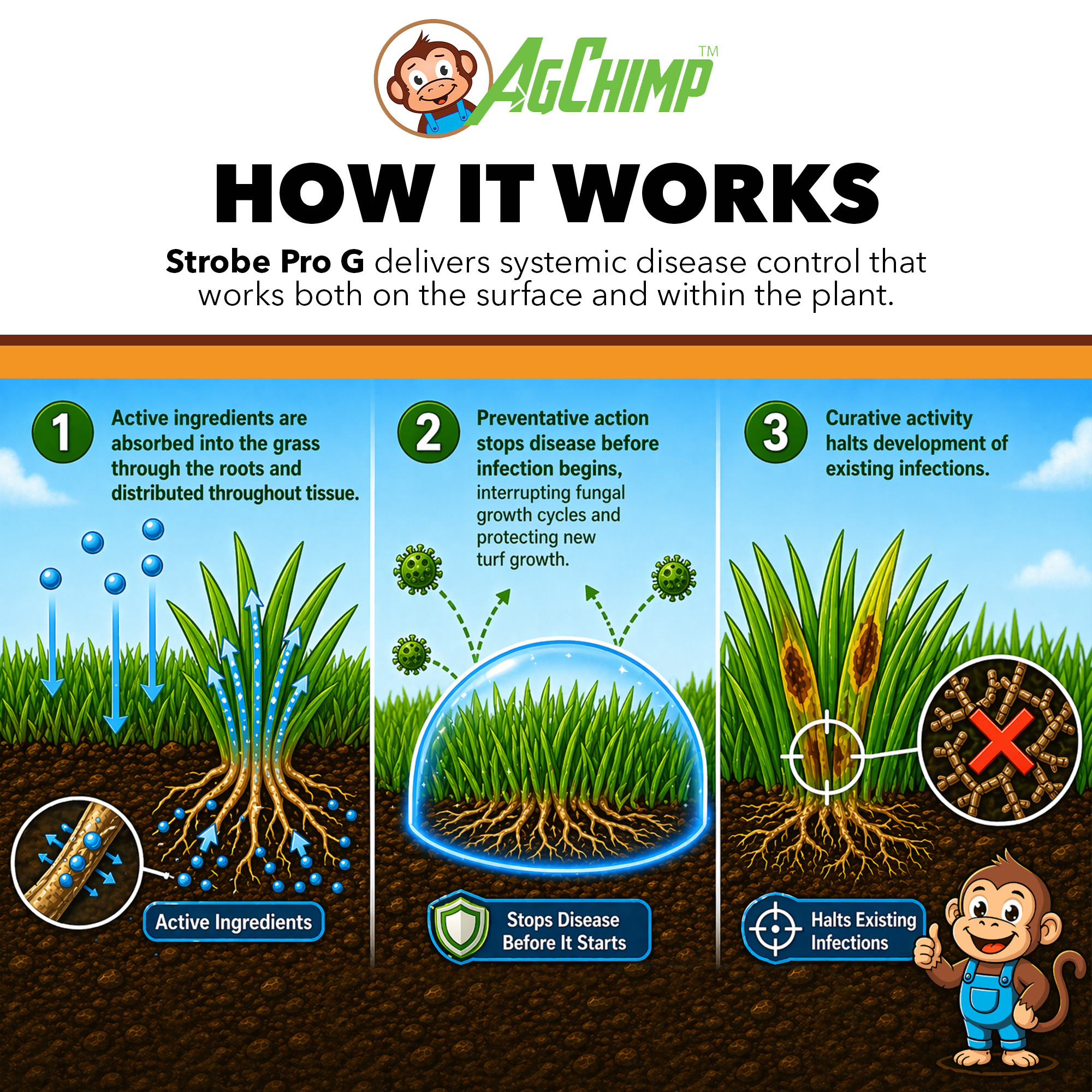 AgChimp Strobe+ G Broad-Spectrum Dual-Action Granular Lawn Fungicide, 15lbs