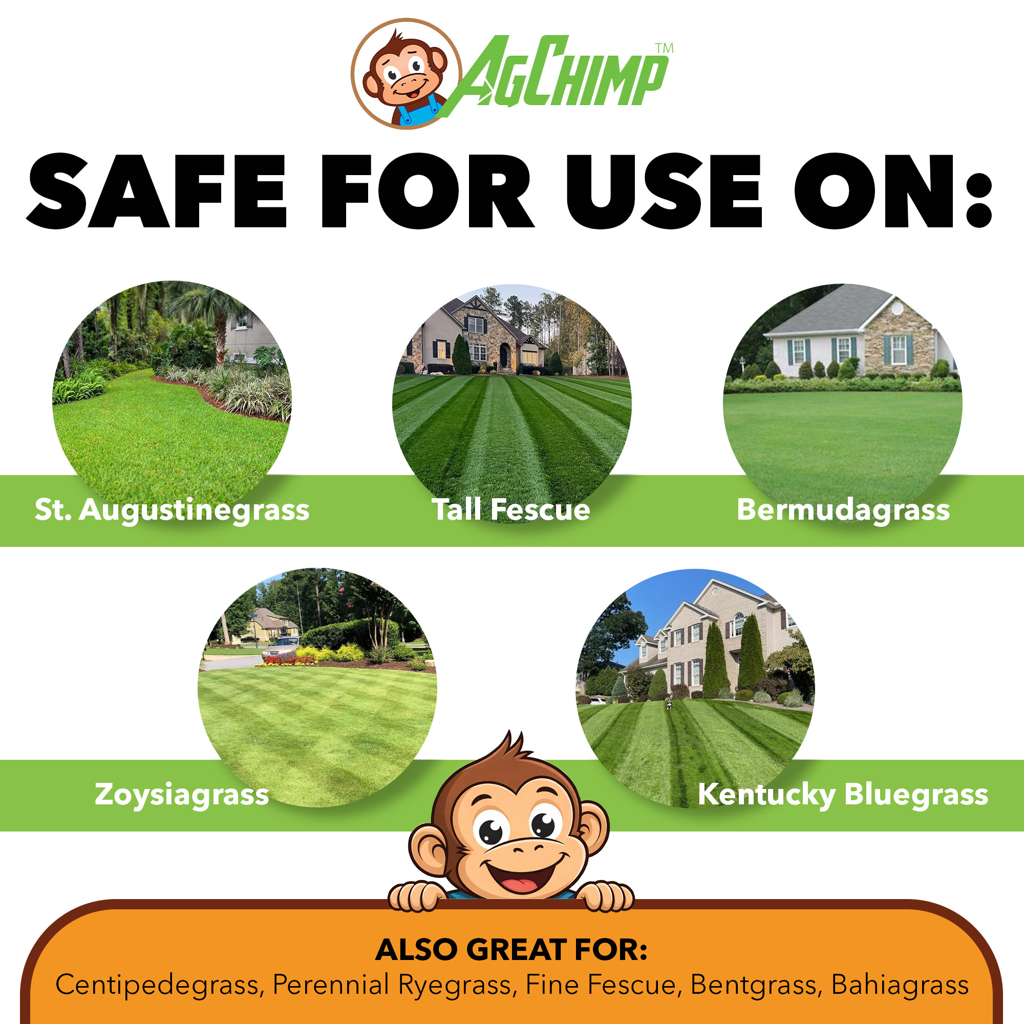 AgChimp Strobe+ G Broad-Spectrum Dual-Action Granular Lawn Fungicide, 15lbs