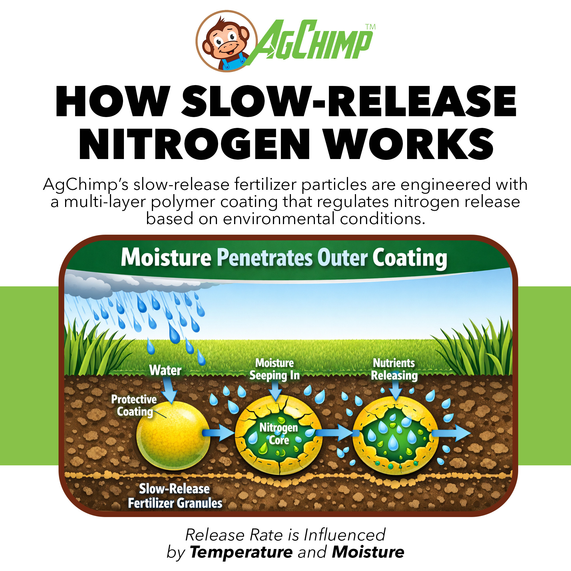 AgChimp 24-0-11 Professional Lawn Maintenance Fertilizer, 16lbs