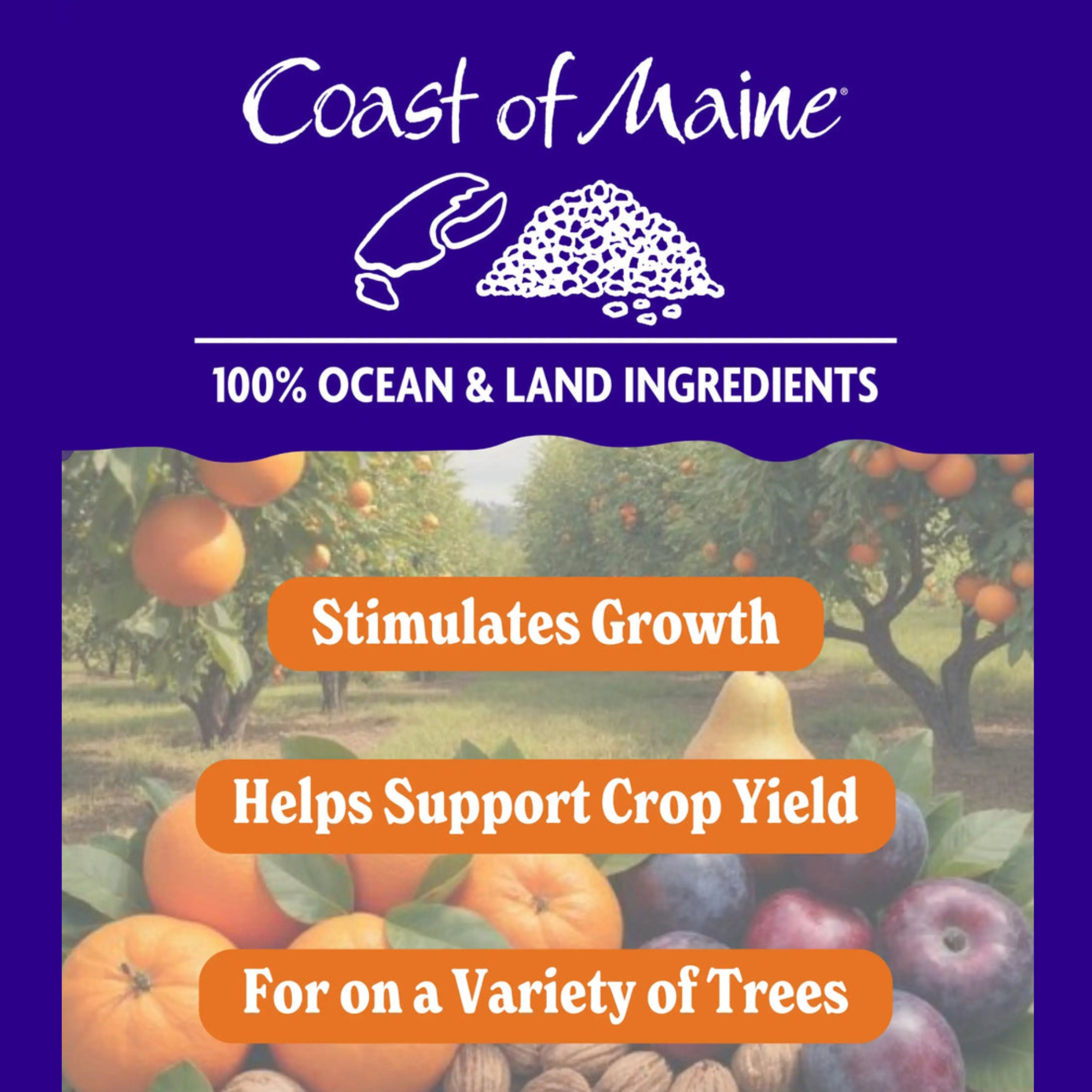 Coast of Maine Organic & Natural Fertilizer for Citrus & Fruit Trees