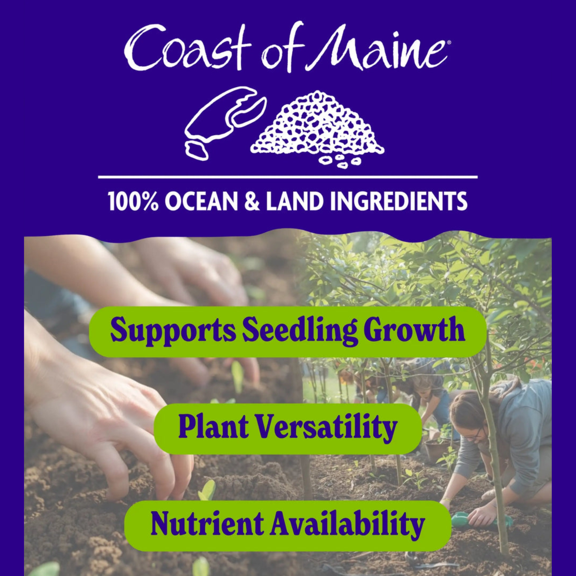 Coast of Maine Organic & Natural 3-5-2 Starter Fertilizer