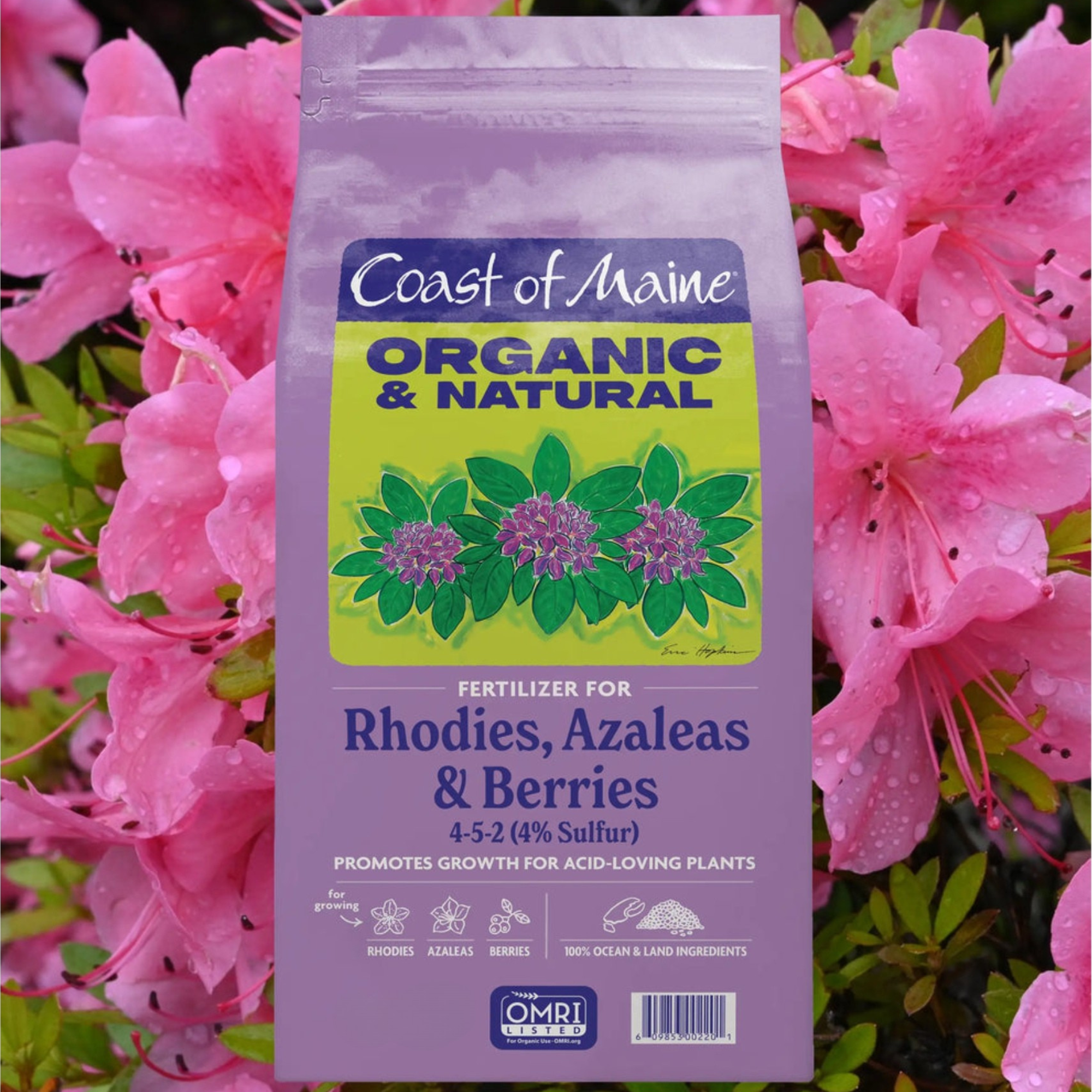 Coast of Maine Organic & Natural Fertilizer for Rhodies, Azaleas & Berries