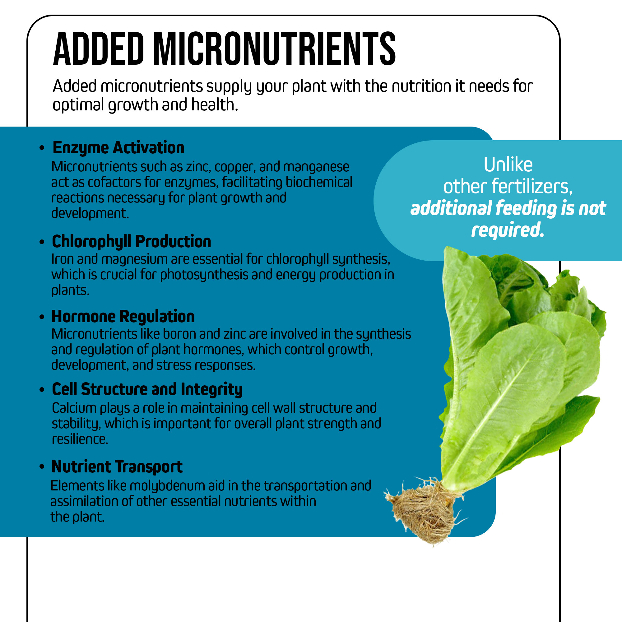 Jack’s Nutrients 18-8-23 Outdoor Water-Soluble Powder Fertilizer