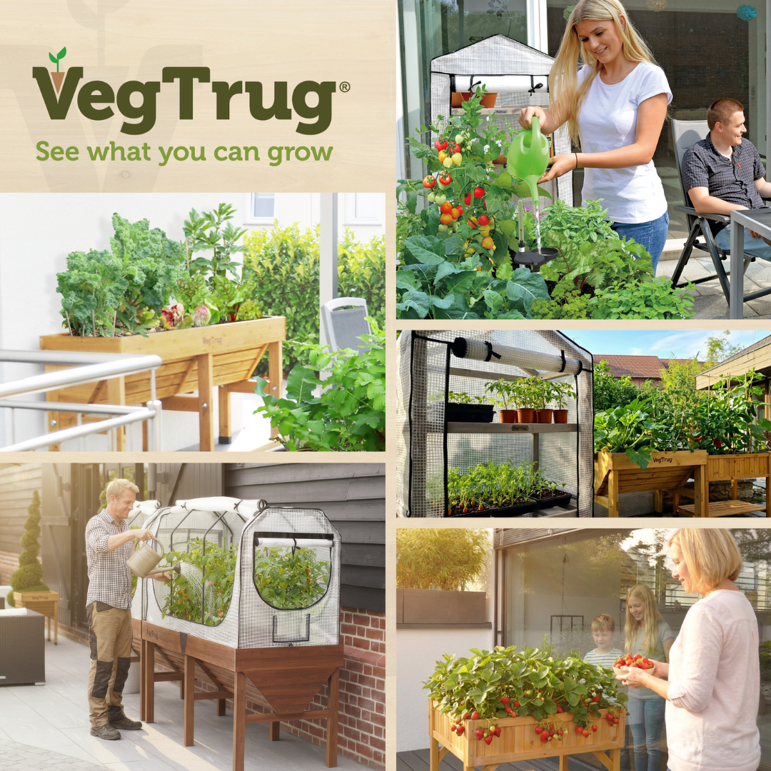 VegTrug Classic Raised Bed Uncoated Red Cedar Wood Planter, Natural, Small 1m - Made in USA