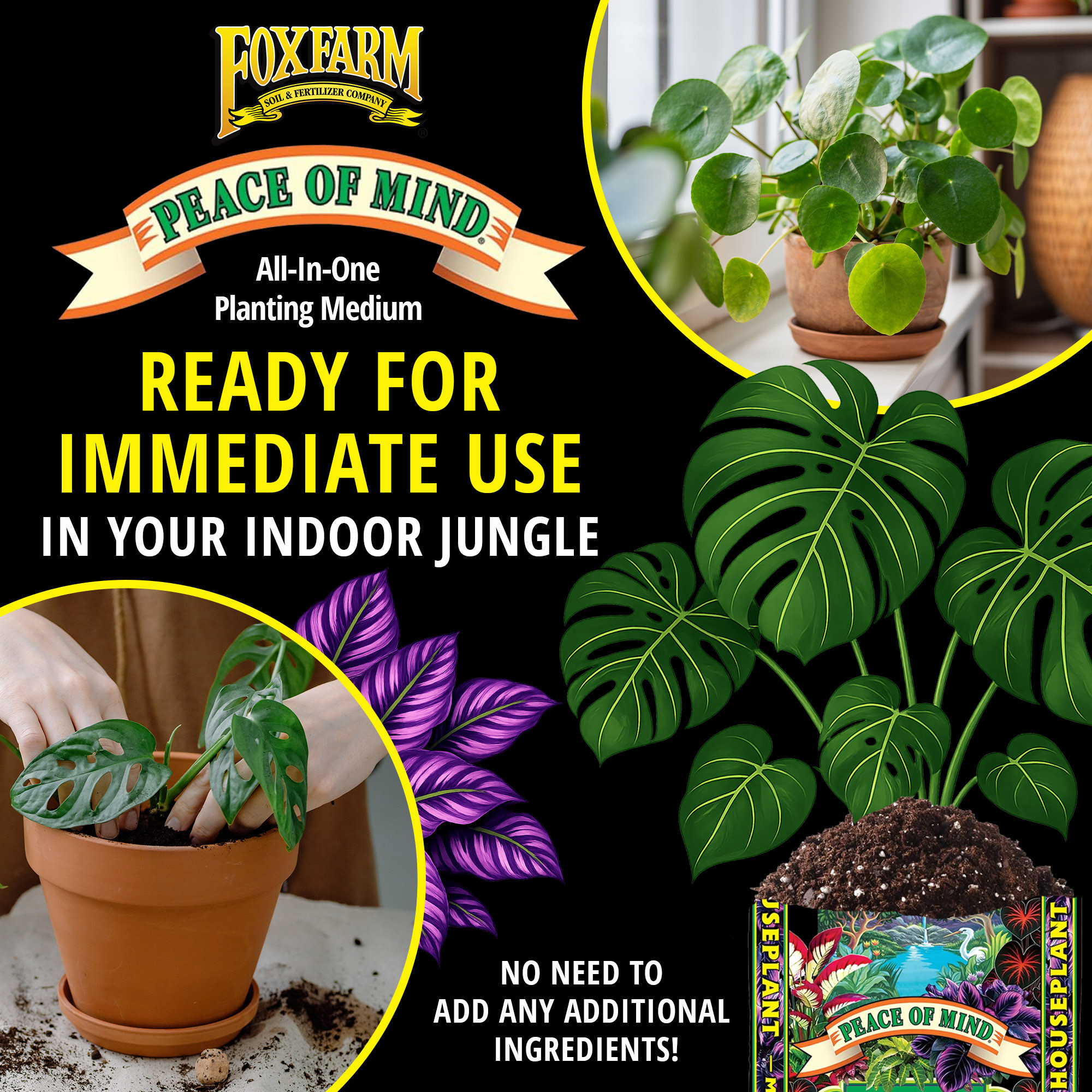 FoxFarm Peace of Mind Houseplant Mix, Ready-to-Use Potting Soil, 12qt