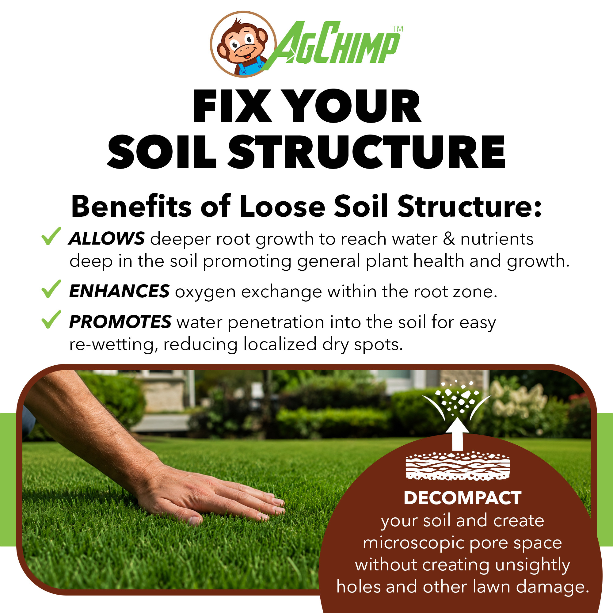 AgChimp PunchCa RTU Lawn Calcium Supplement & Conditioner for Compact Soil, 1qt