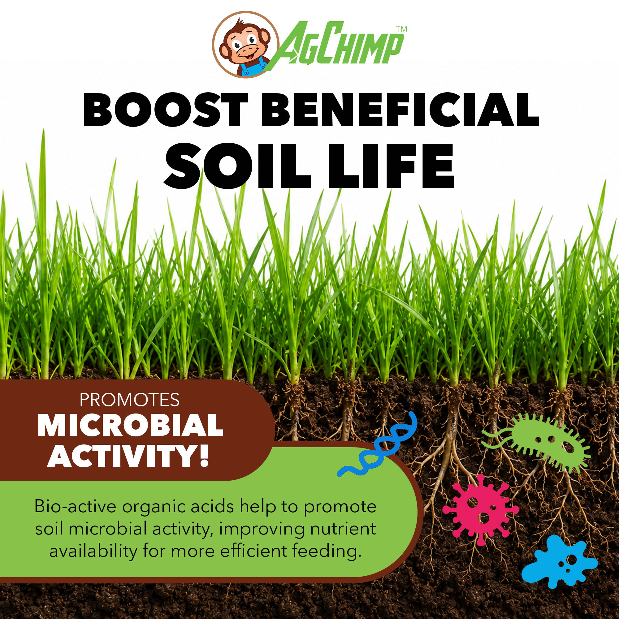 AgChimp RxComplete 14-3-5 Bio-Active Liquid Lawn Fertilizer, 1qt
