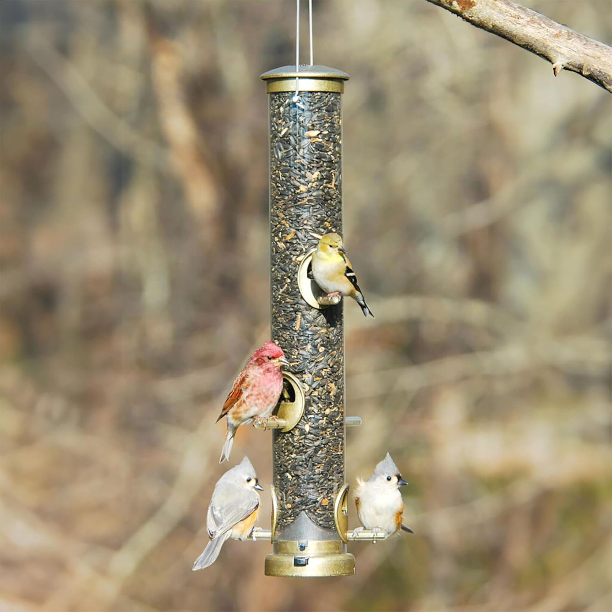 Aspects Quick-Clean Seed Tube Bird Feeder, Large, Brass, 1.75qt Capacity
