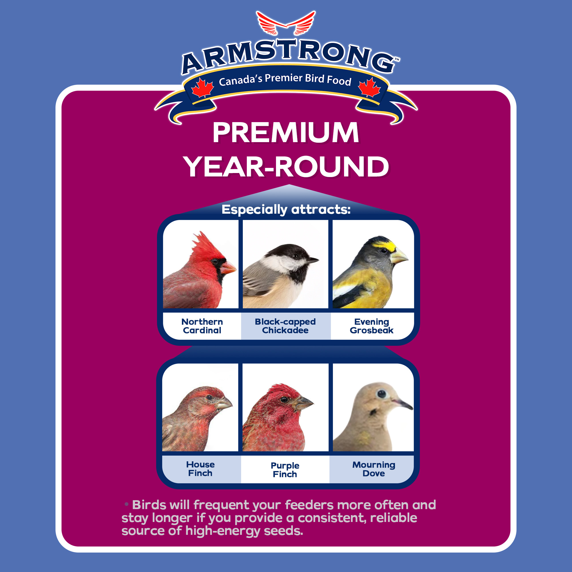 Armstrong Wild Bird Food Premium Year-Round Blend, 20lb