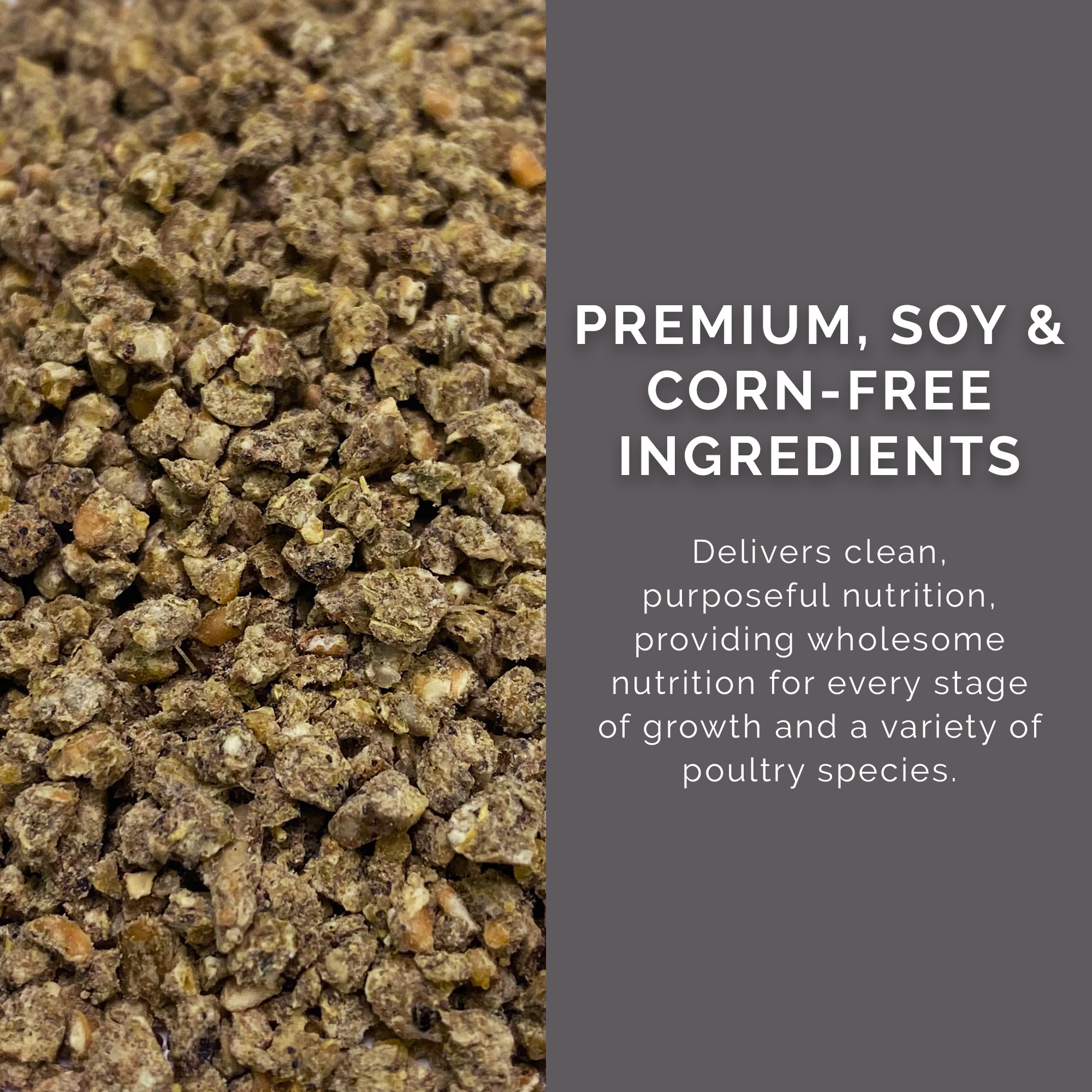Pink Rose Organix Flock Grower Crumb Feed, 40lb