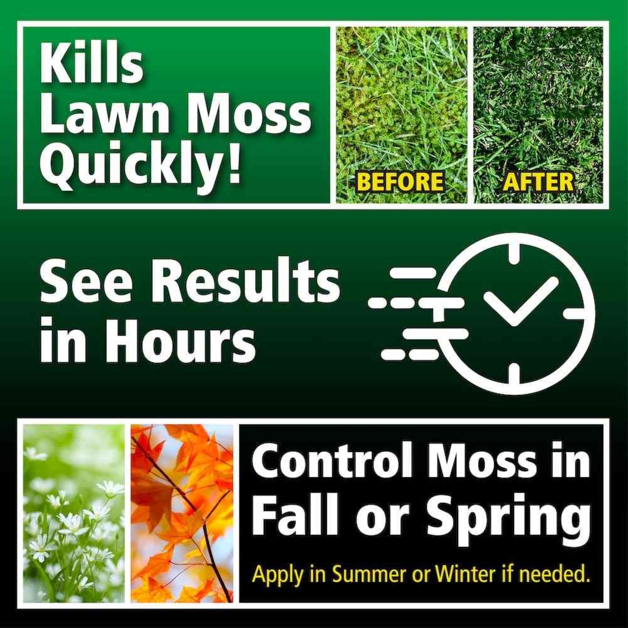 Lilly Miller Moss Out Herbicide Granules for Lawns, 20lbs