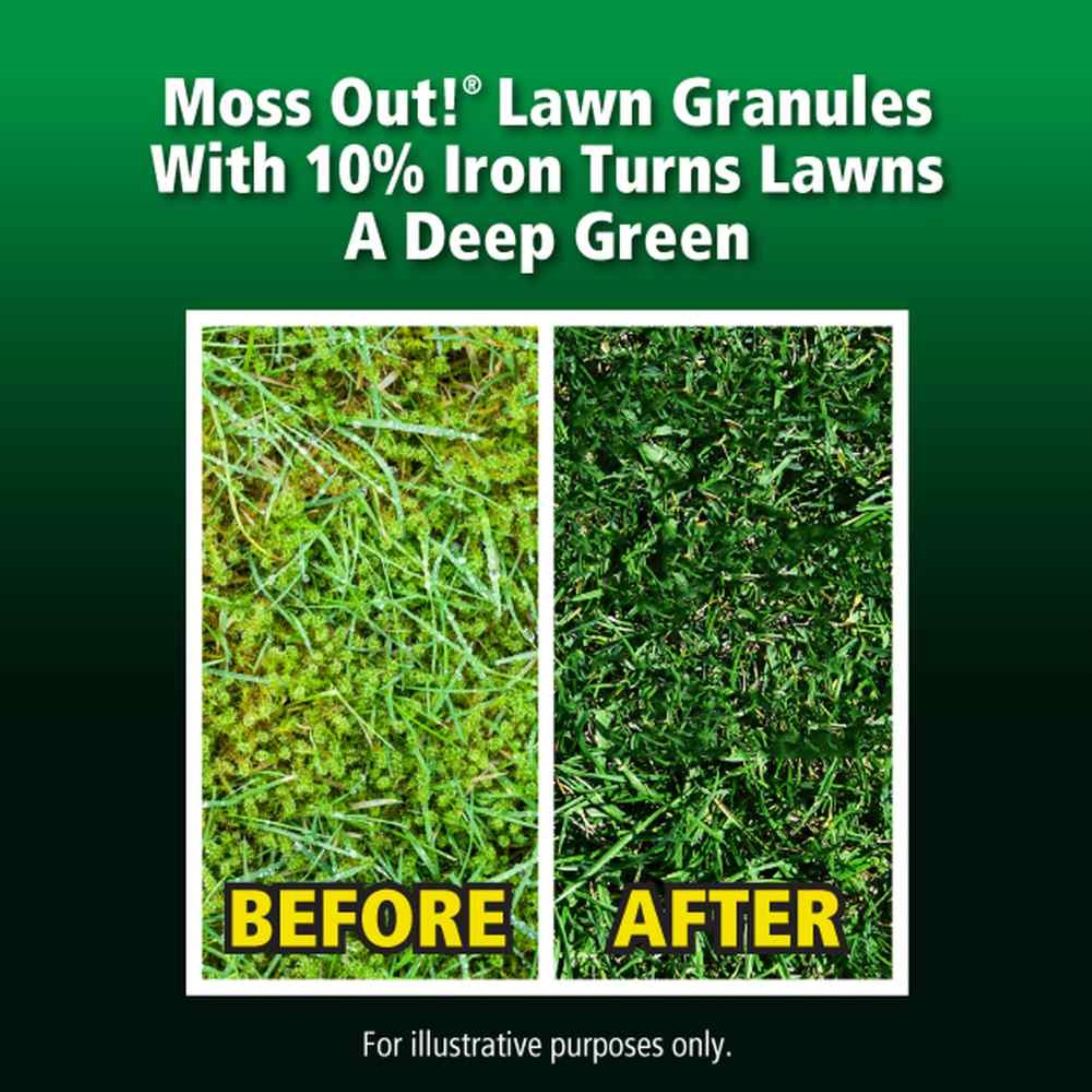Lilly Miller Moss Out Herbicide Granules for Lawns, 5,000 sq ft, 20lbs