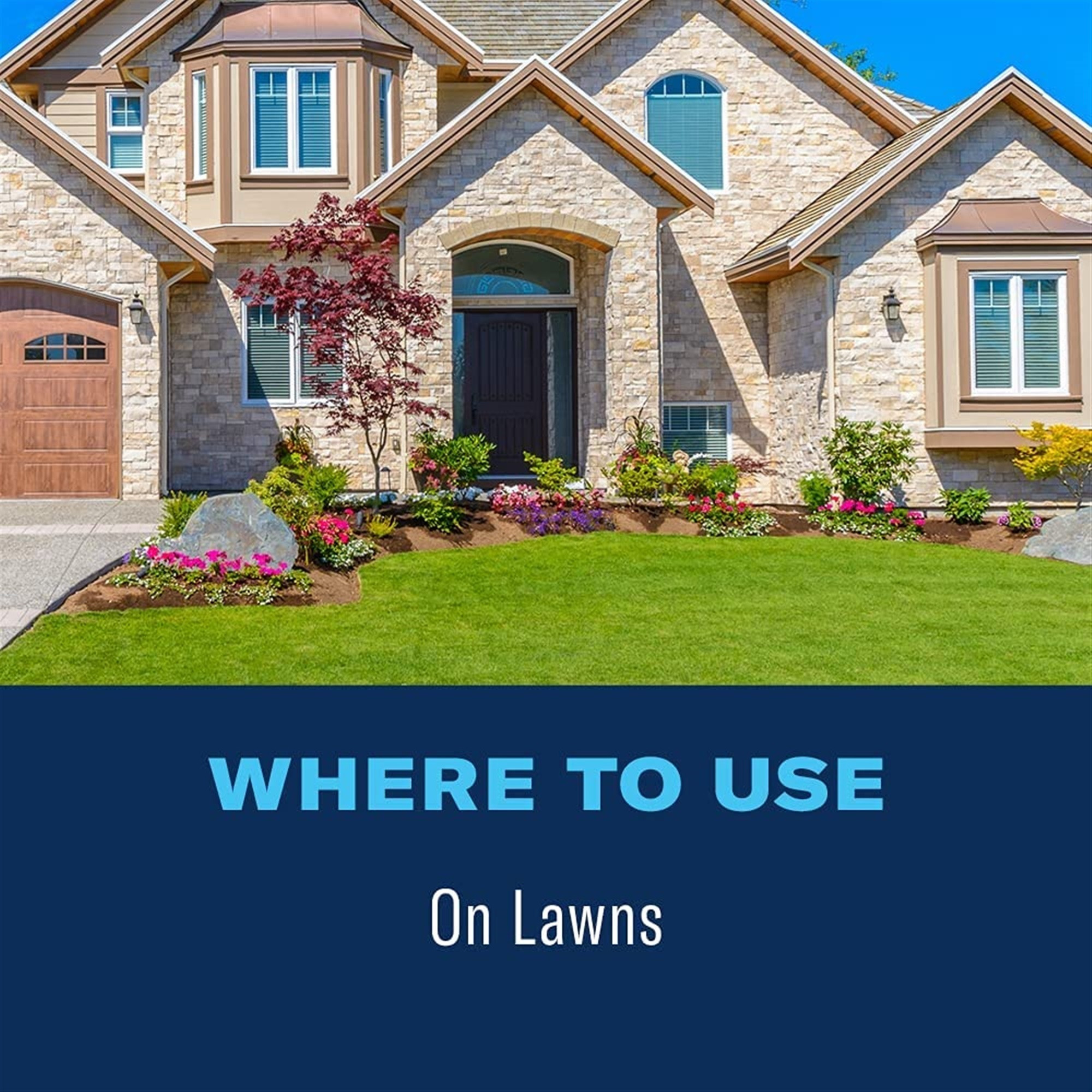 Bioadvanced 24-Hour Grub Killer Plus, Ready to Use Granules, 10lb