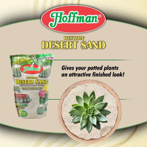 Hoffman Western Desert Sand — Decorative Soil Cover for Cacti