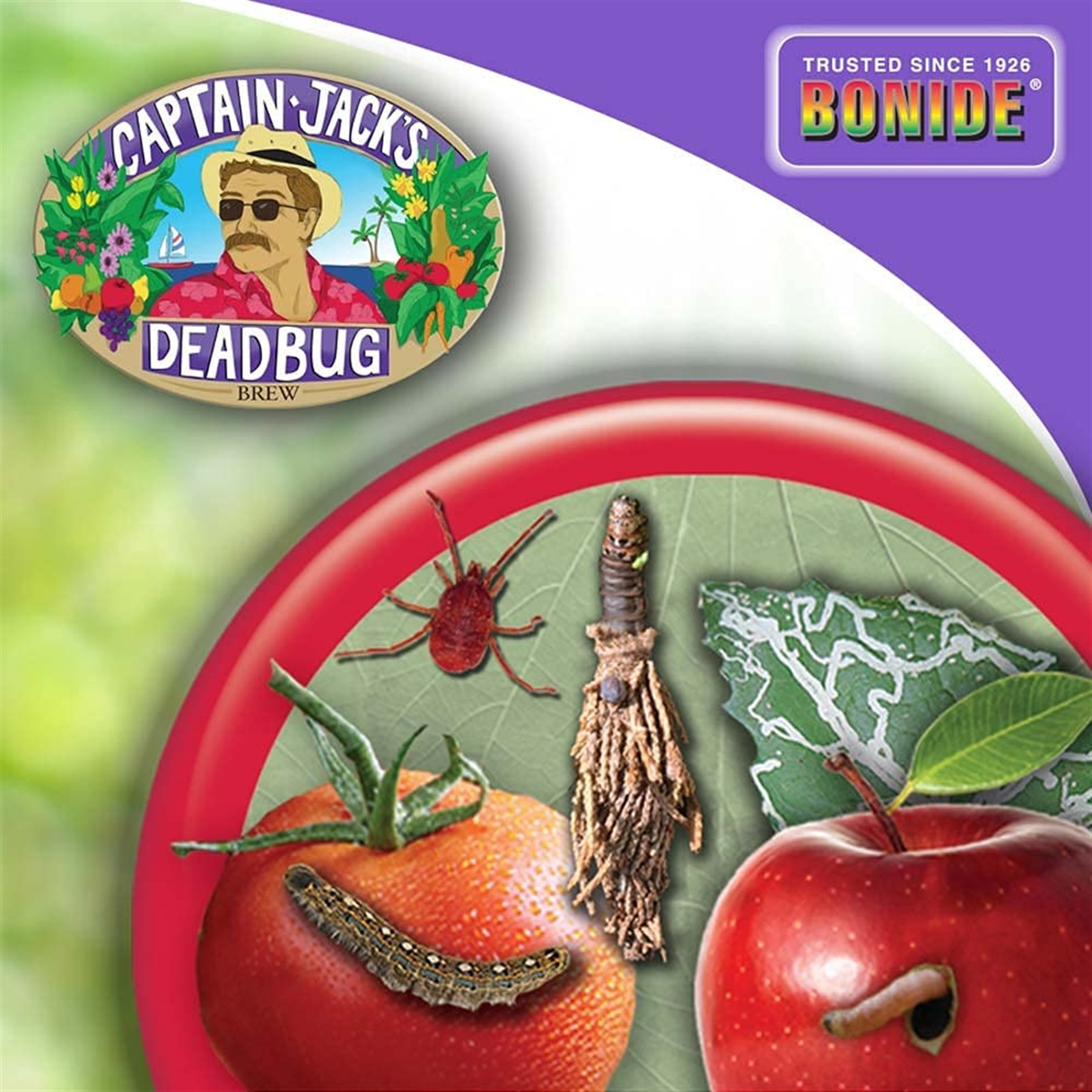 Bonide Captain Jack Dead Bug Brew Concentrate Insect Spray, 16 Ounces