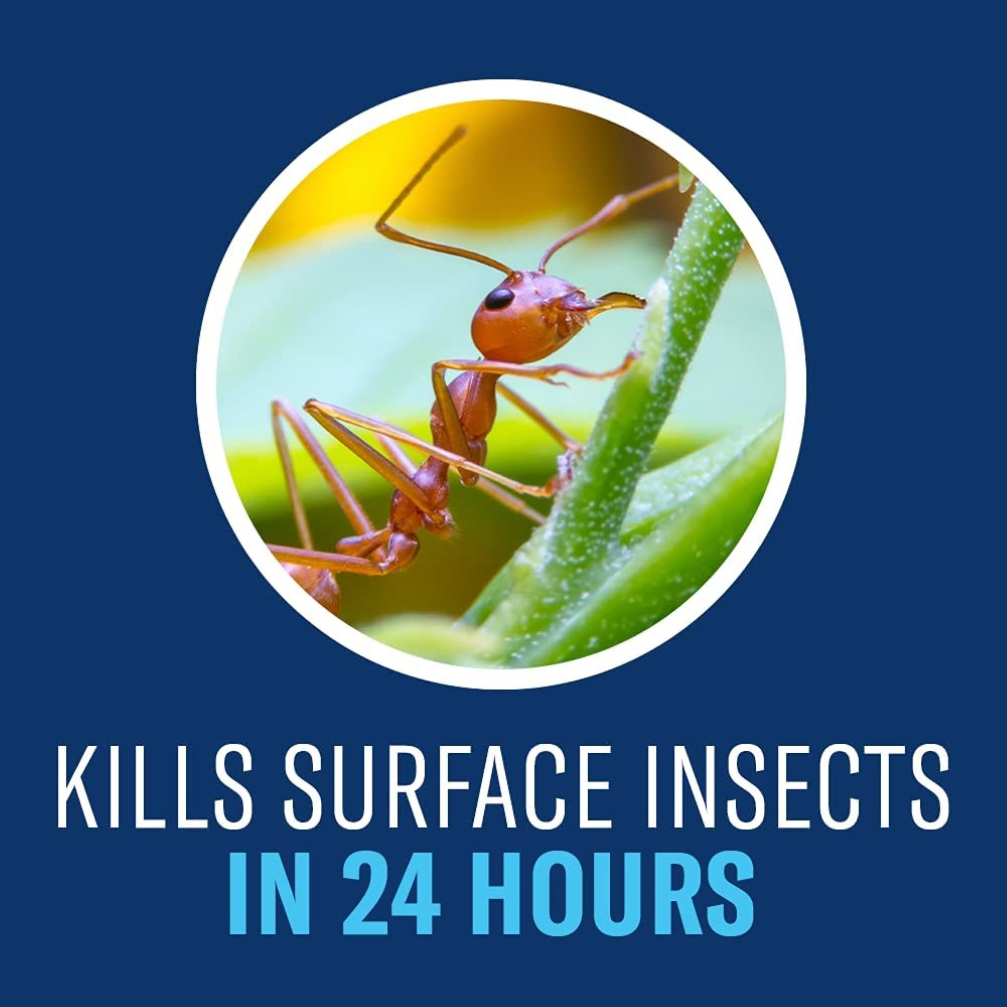 BioAdvanced Complete 2-Way Formula Insect Killer for Soil & Turf Granules 10 lb