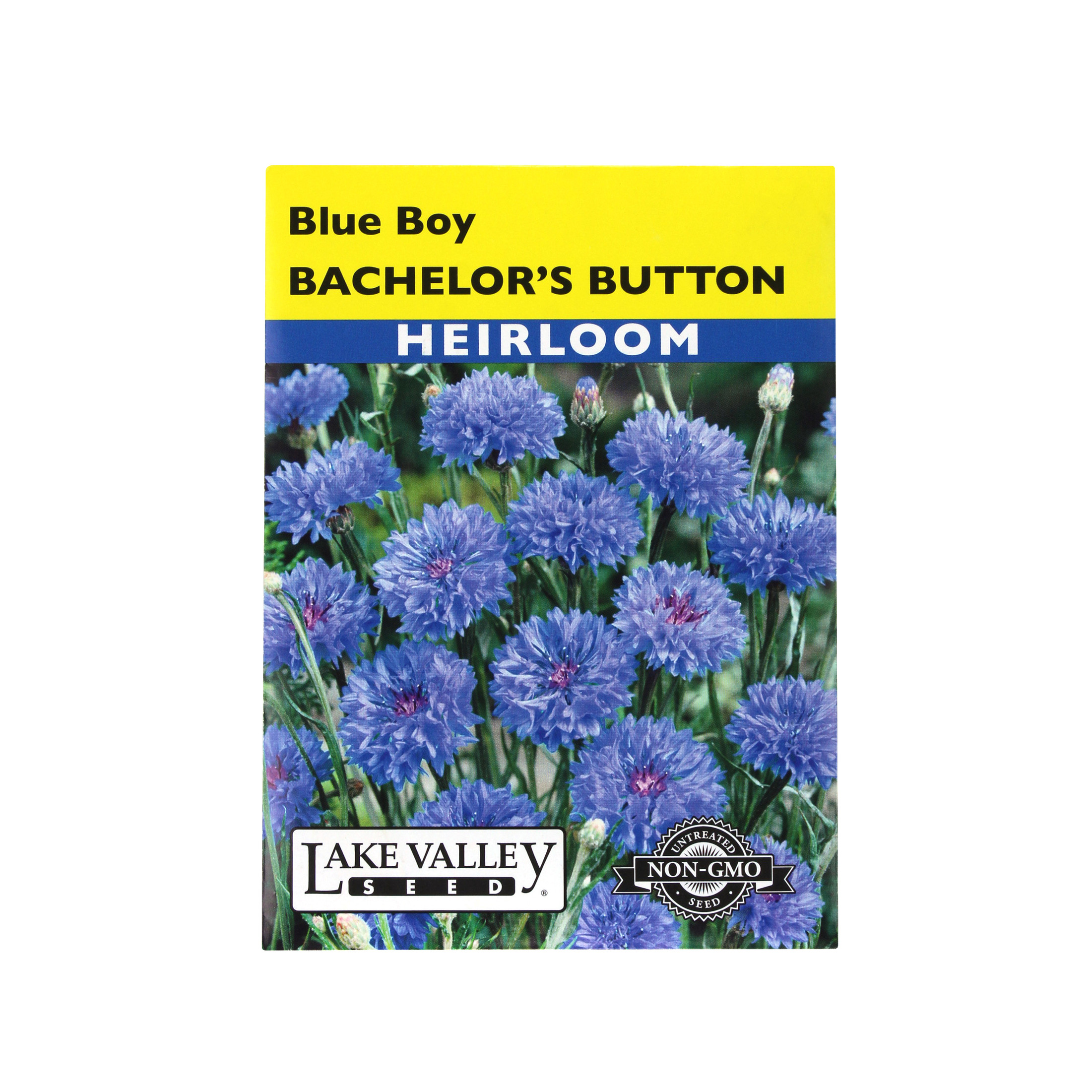 Lake Valley Seed Bachelor's Button, Blue Boy, 1g