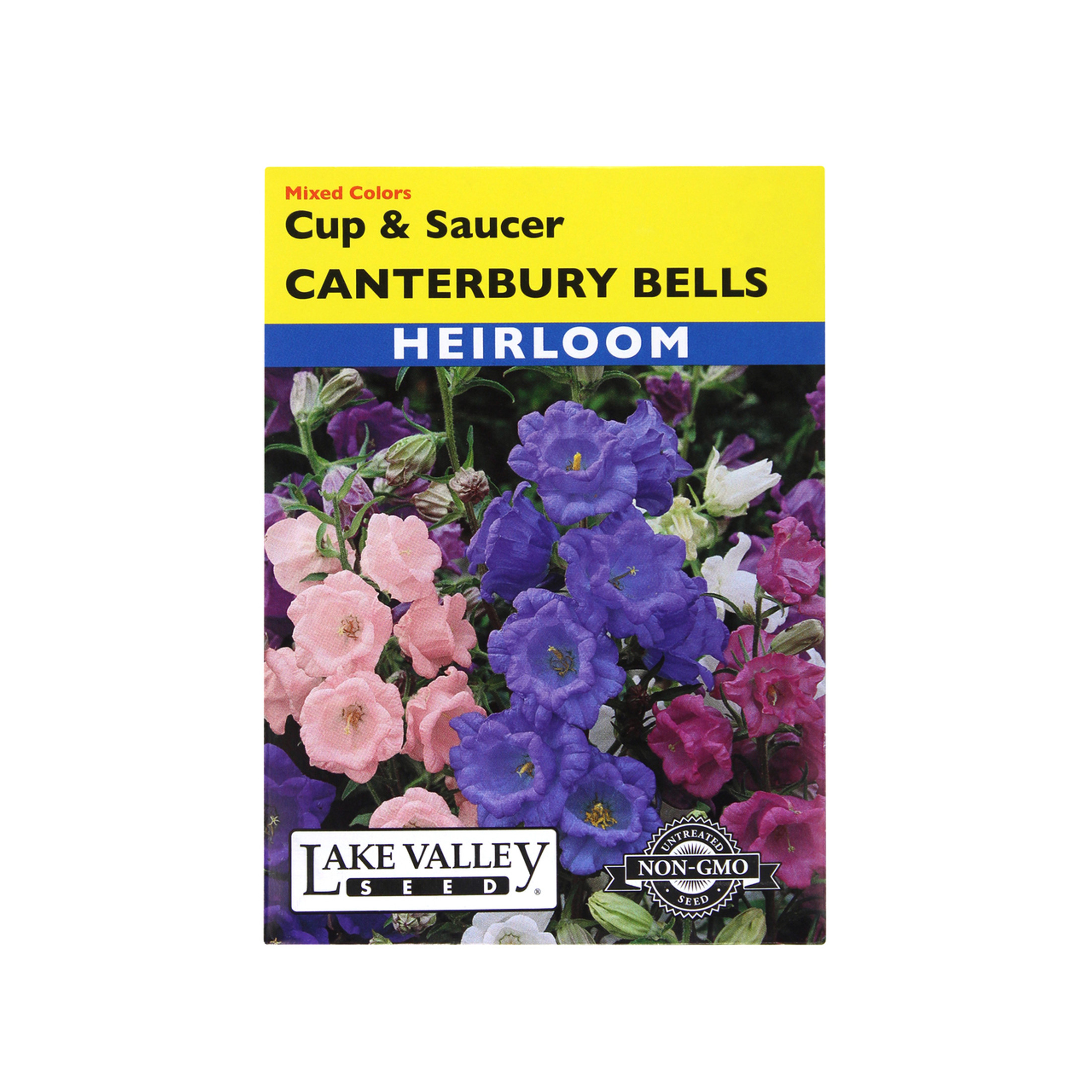 Canterbury Bells Cup and Saucer
