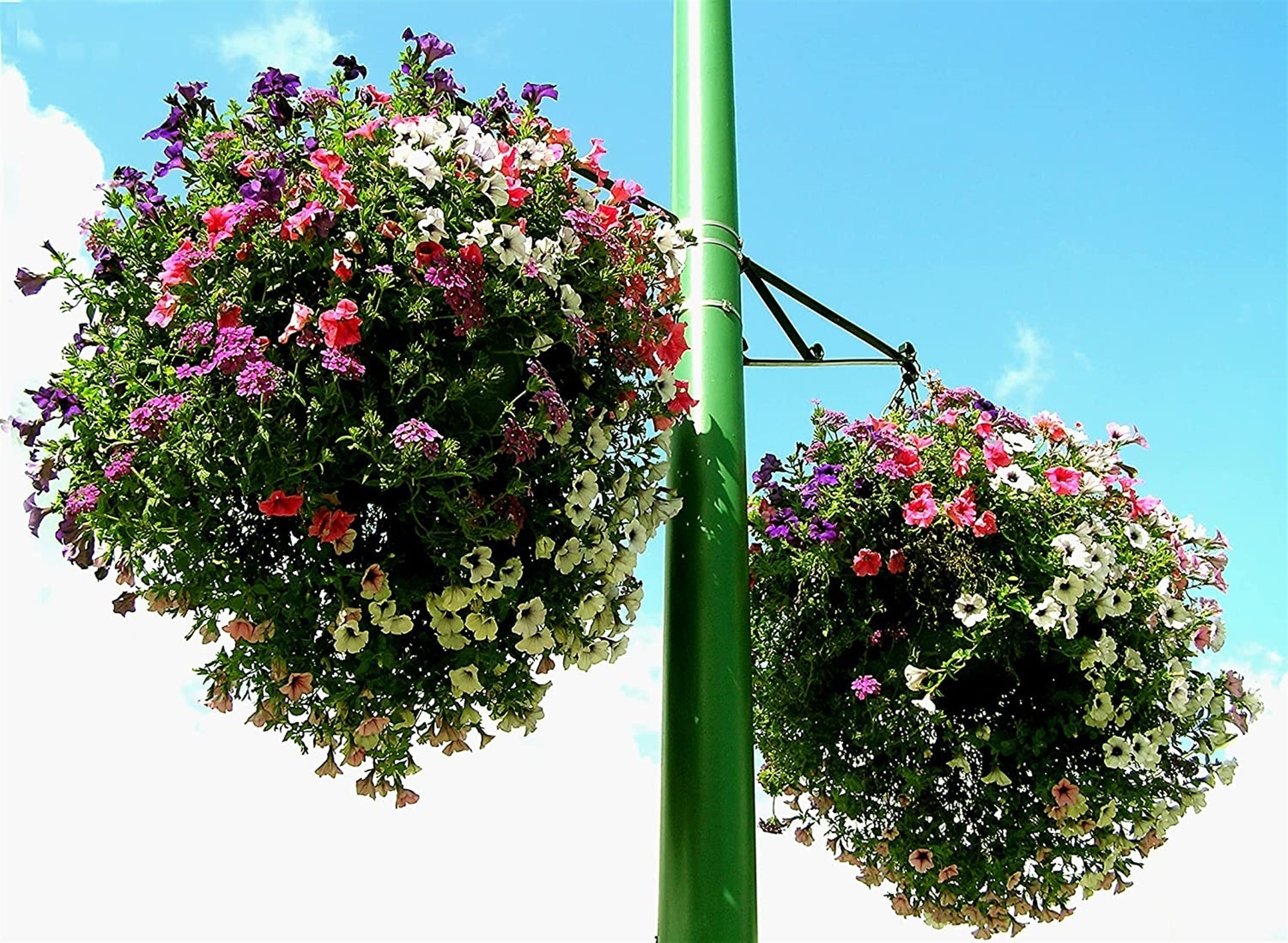 JRM Chemical Soil Moist Granules, 3 Lb