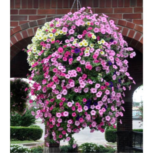 JRM Chemical Soil Moist Granules — Water-Storing Soil Conditioner for Indoor & Outdoor, 3lb