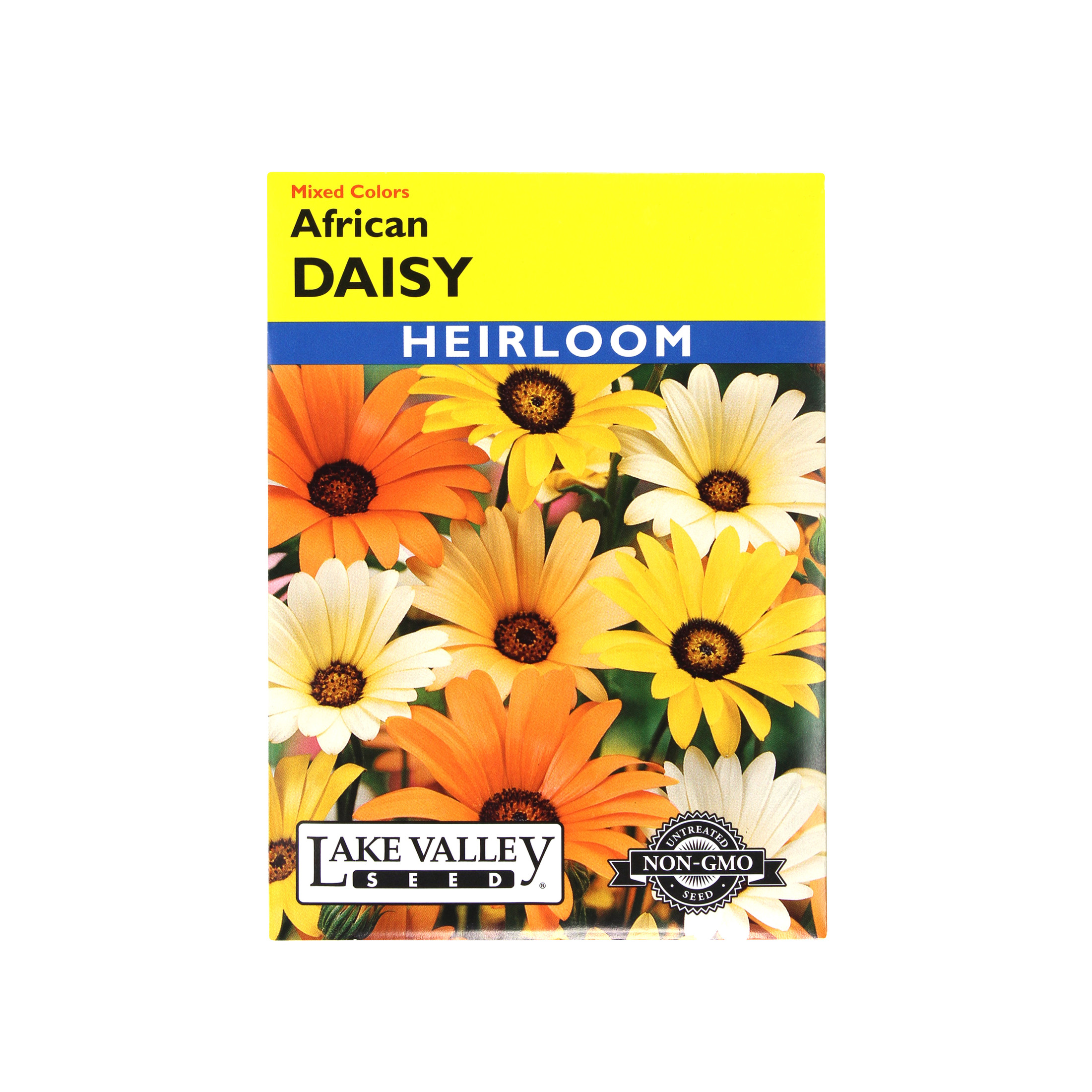 Lake Valley Seeds African Daisy Mixed Colors Heirloom, 0.4g