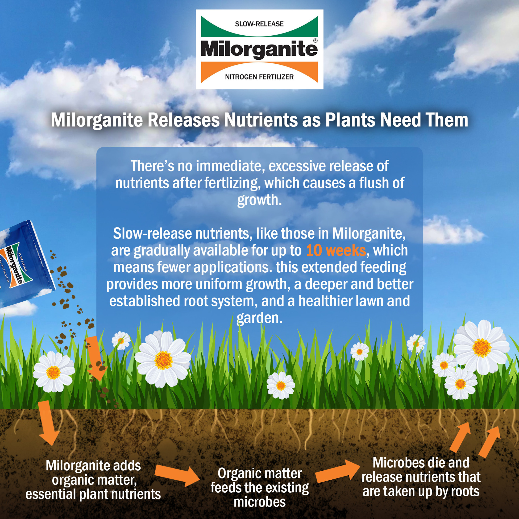 Milorganite All-Purpose Eco-Friendly Slow-Release Nitrogen 6-4-0 Fertilizer, 5 Pound Bag - for Lawns, Flowers and Gardens