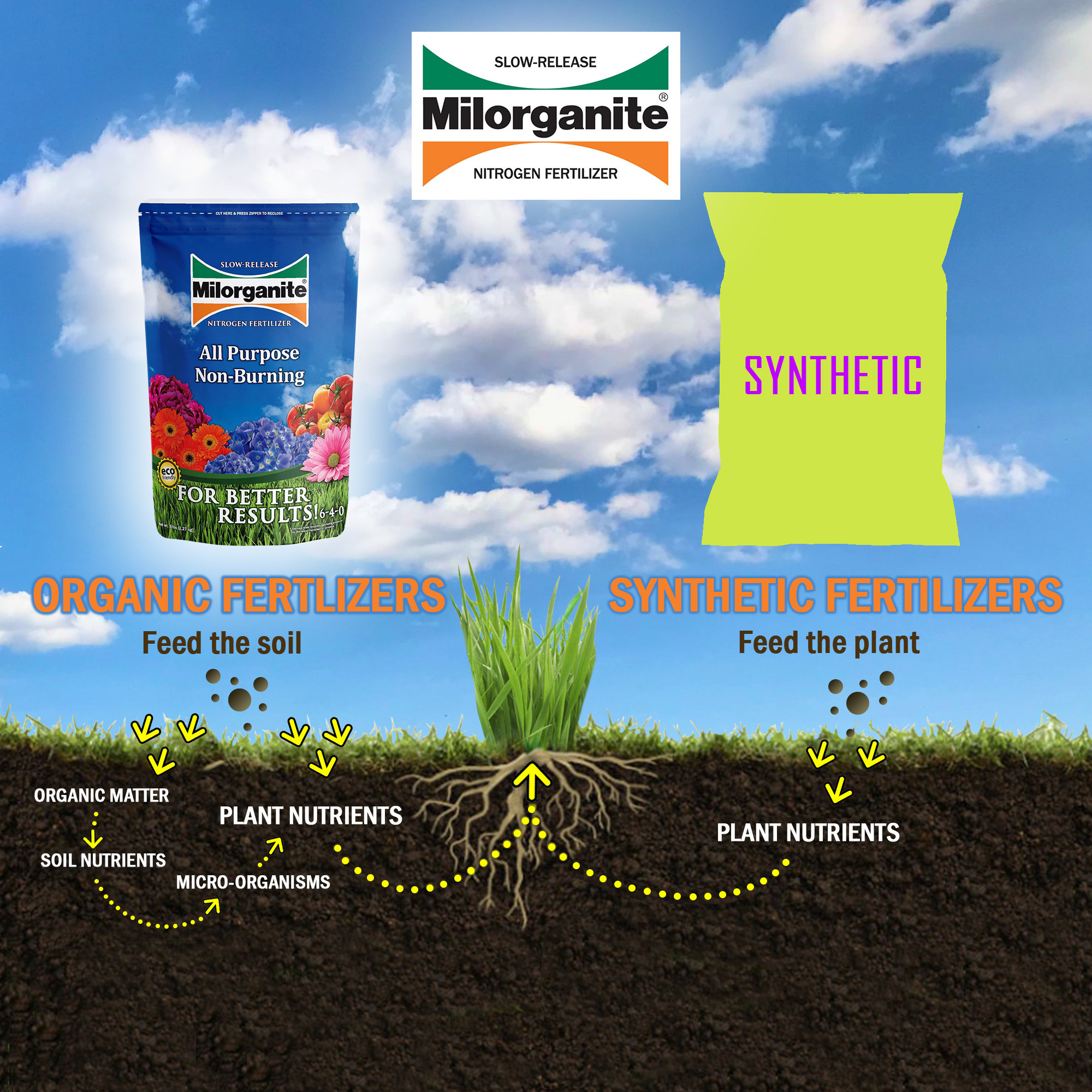 Milorganite All-Purpose Eco-Friendly Slow-Release Nitrogen 6-4-0 Fertilizer, 5lb (Not for Sale in ME & CT)