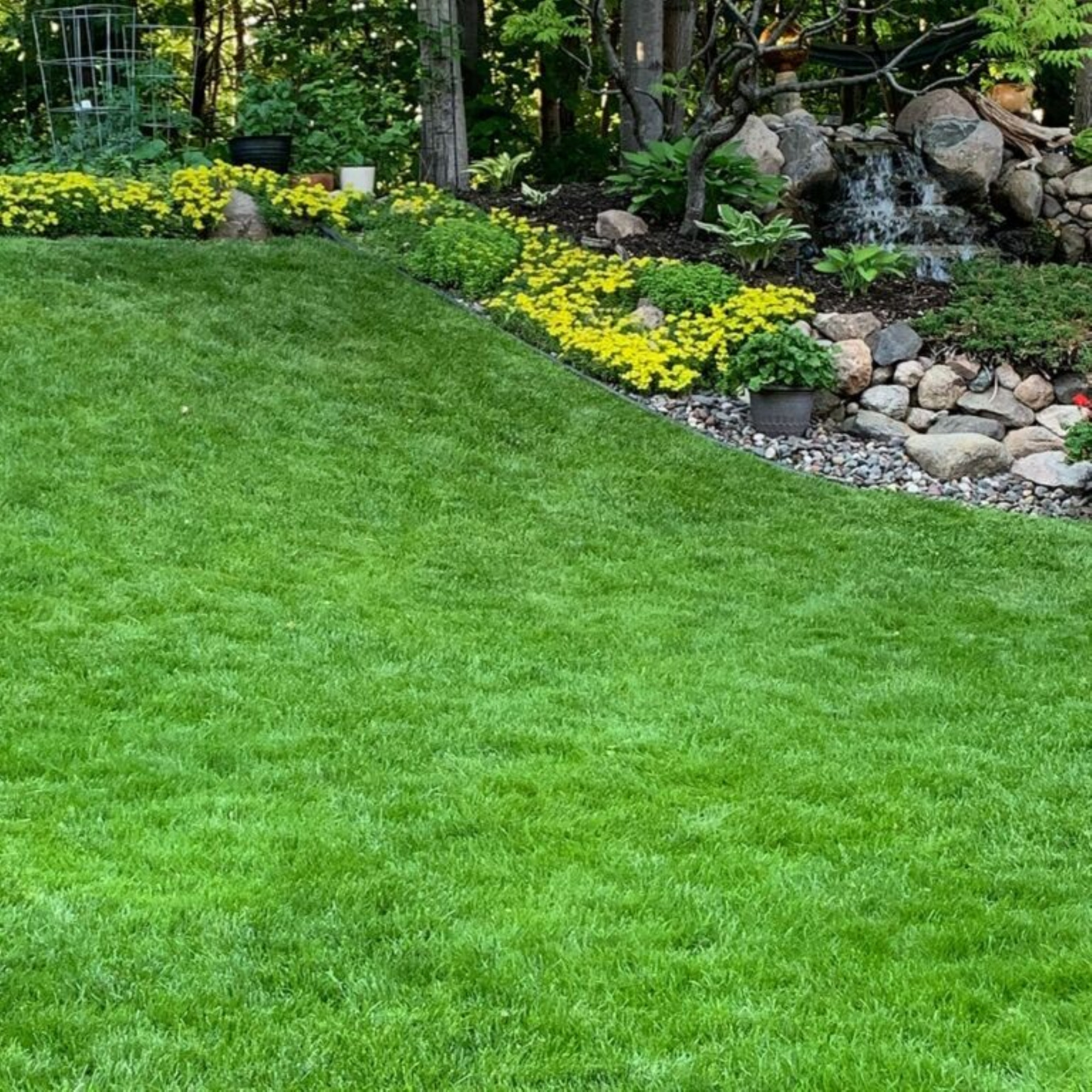 Jonathan Green Lawn Moss Control Herbicide, 20lb, Covers 5,000 sq ft