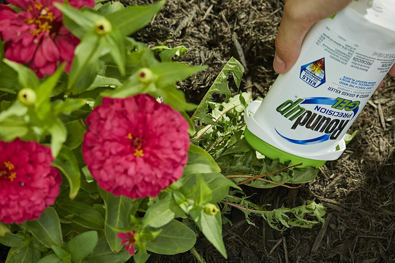 RoundUp Precision Gel Weed & Grass Killer