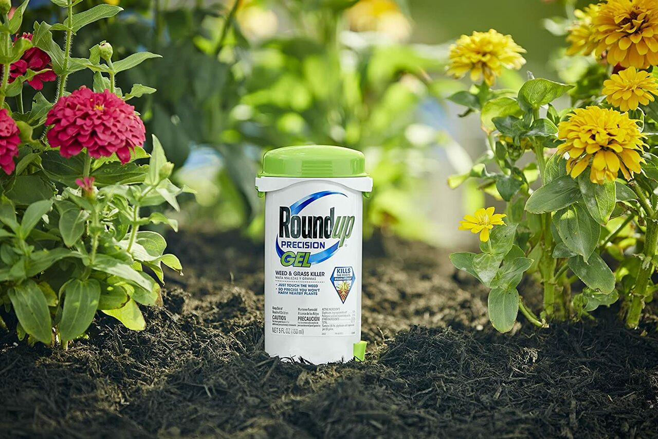 RoundUp Precision Gel Weed & Grass Killer