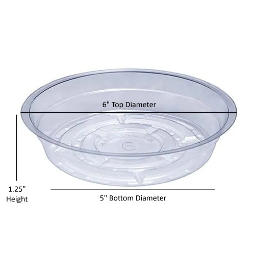 Curtis Wagner Plastics Vinyl Plant Saucer — Air-Flow Bottom Design, Clear — 6"