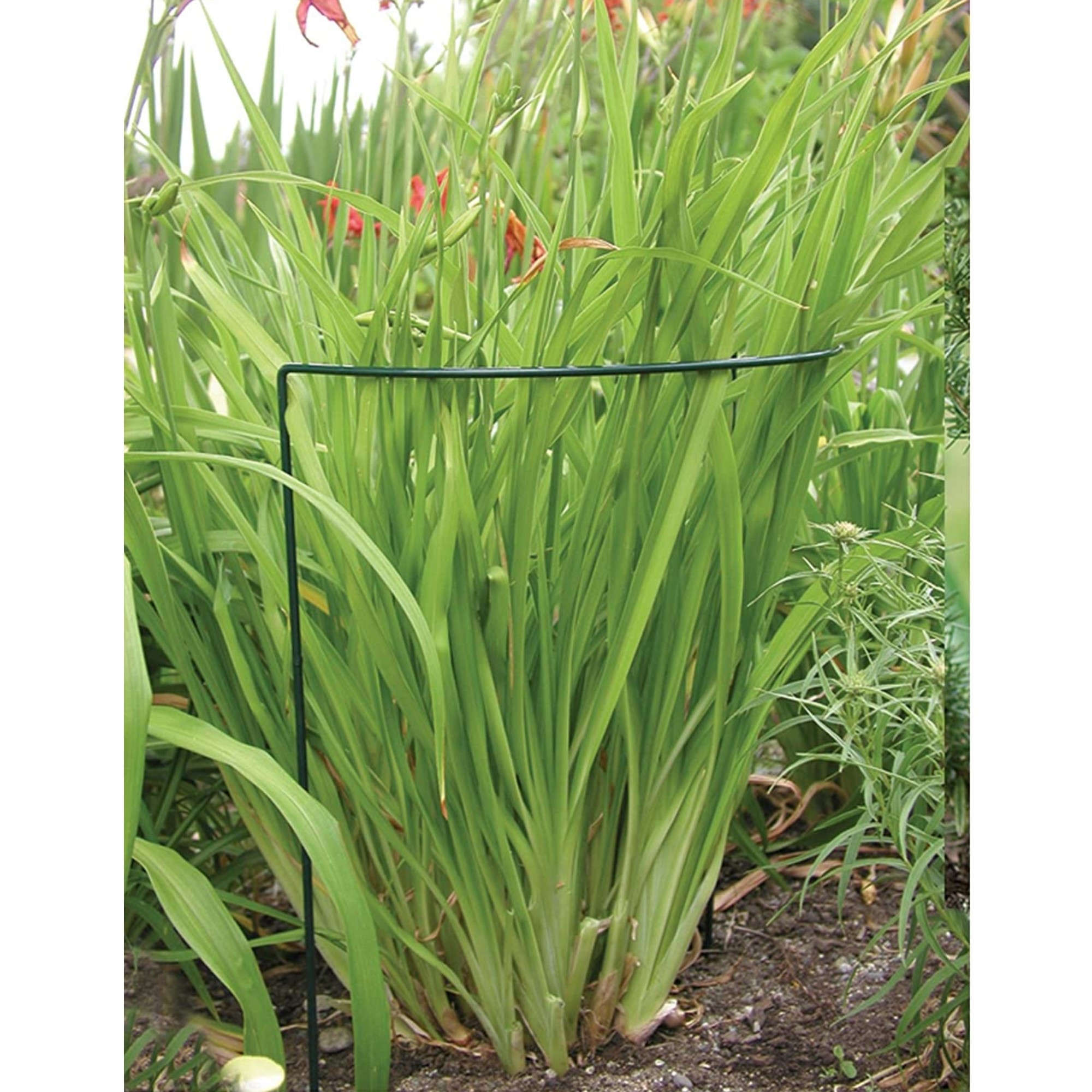 Luster Leaf Link-Ups U-Support Plant Support Stake, 6" x 17" (1 Piece)