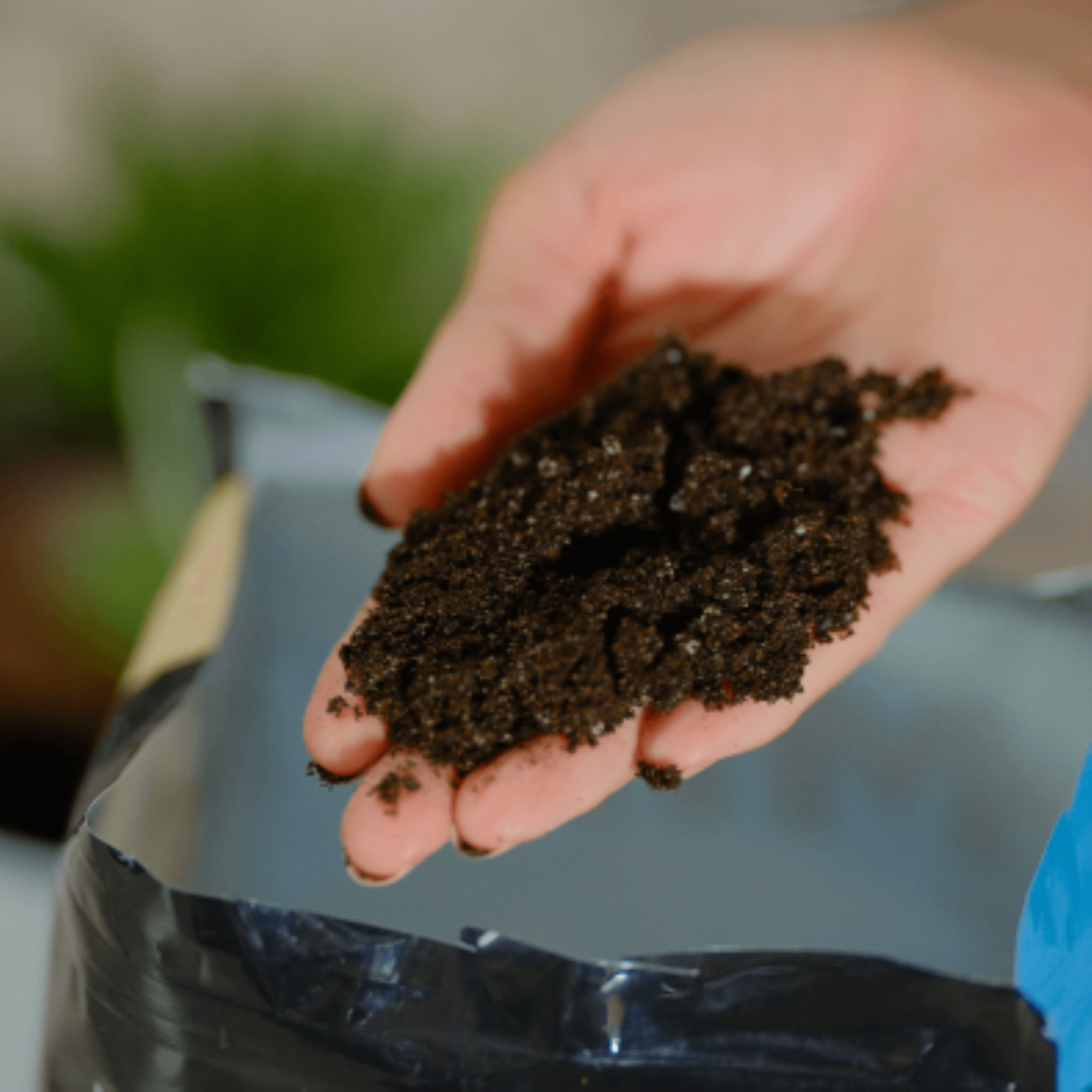 Premier Horticulture PRO-MIX Cactus Mix with MYCOACTIVE for Cactus & Succulents, 8qt