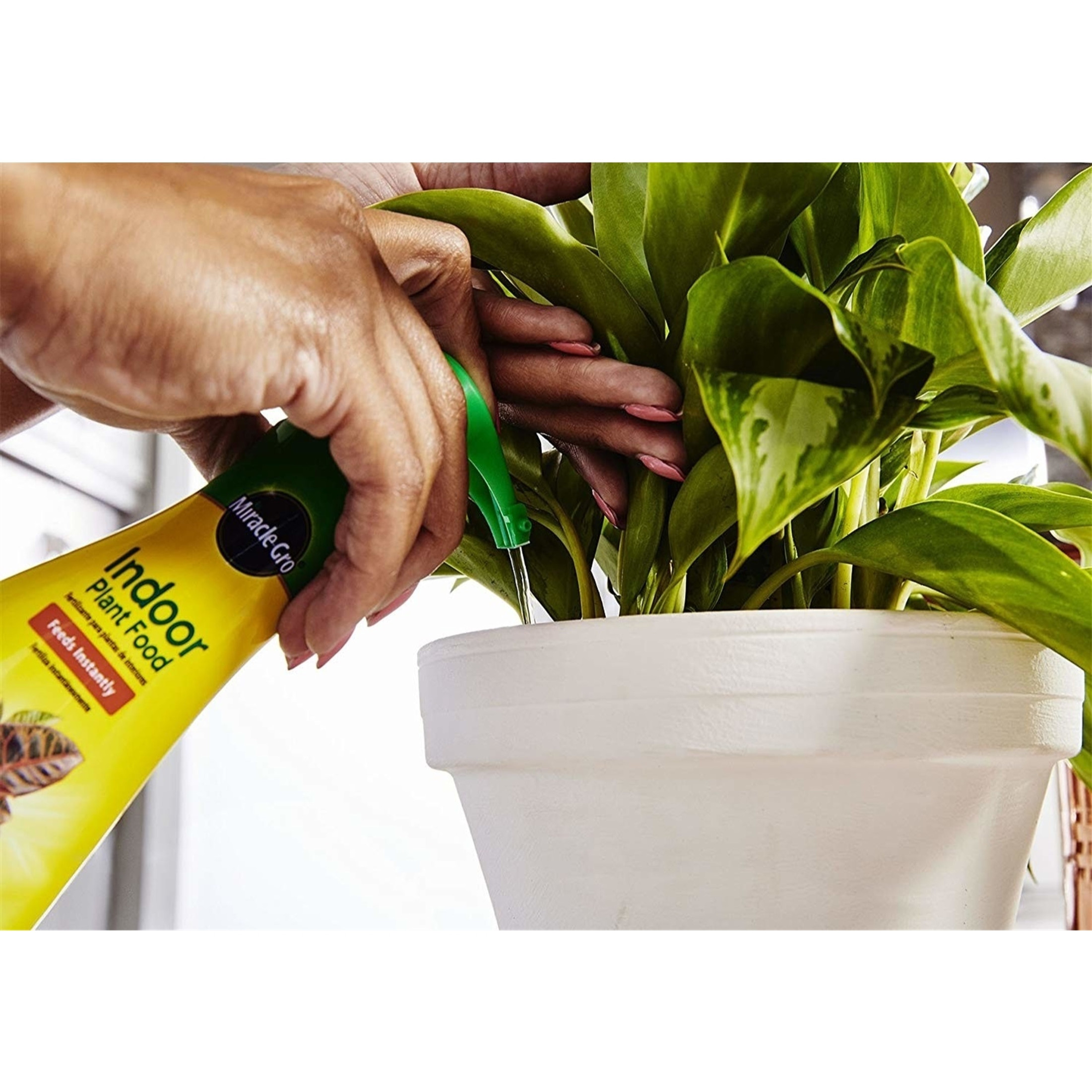 Miracle-Grow Indoor Liquid Plant Food, 8 fl oz
