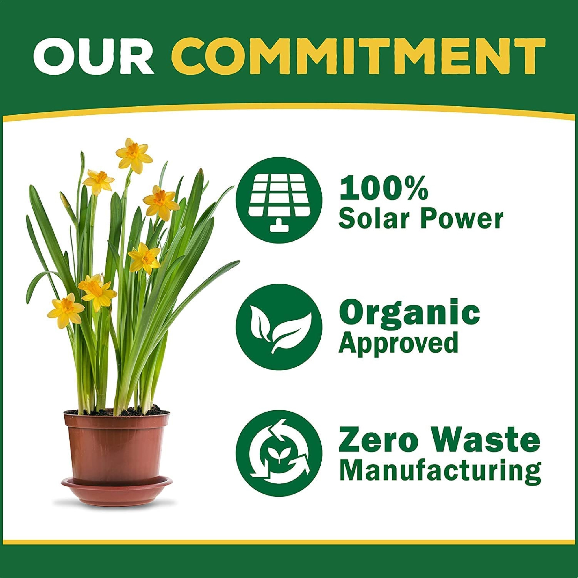 Espoma Organic Grow! All Purpose Plant Food for Indoor & Outdoor Plants for Organic Gardening, Liquid Concentrate, 24oz