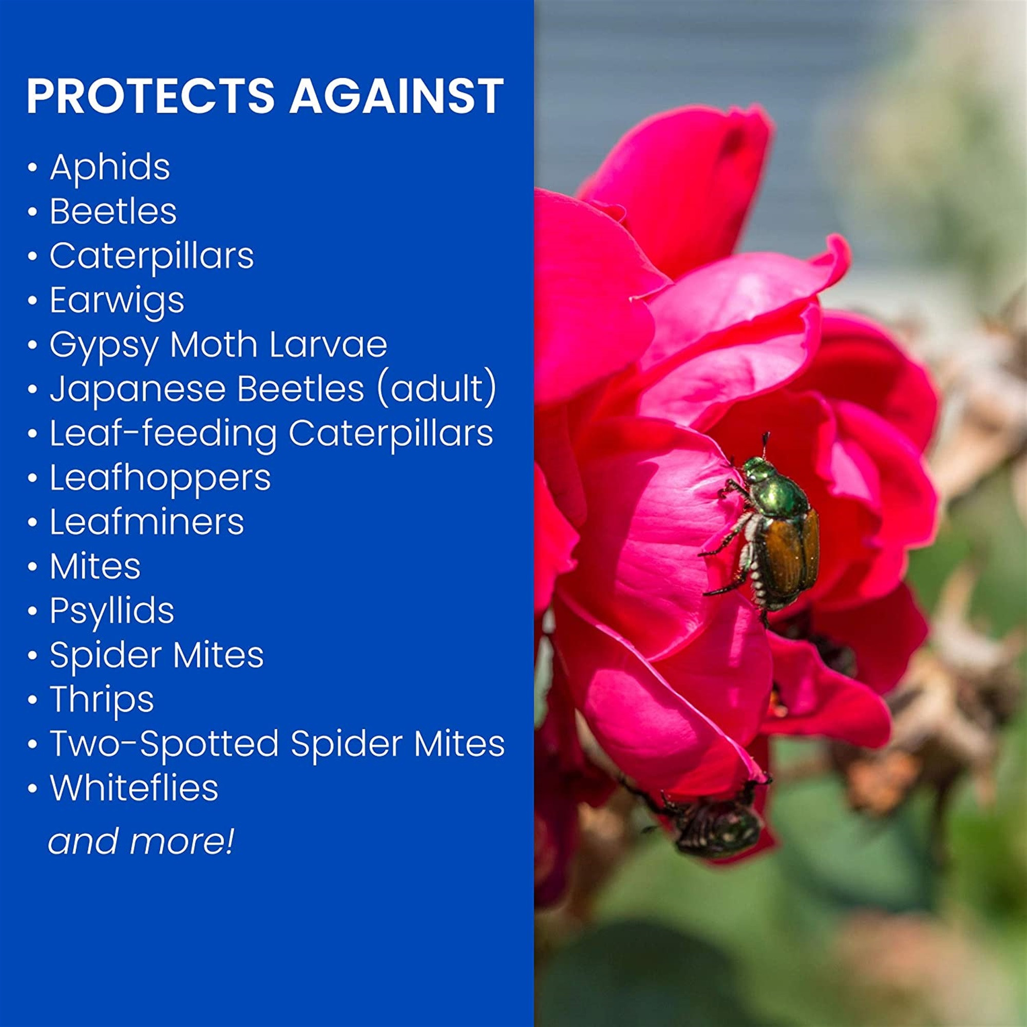 BioAdvanced 3-in-1 Insect Disease & Mite Control Concentrate - 32 oz.