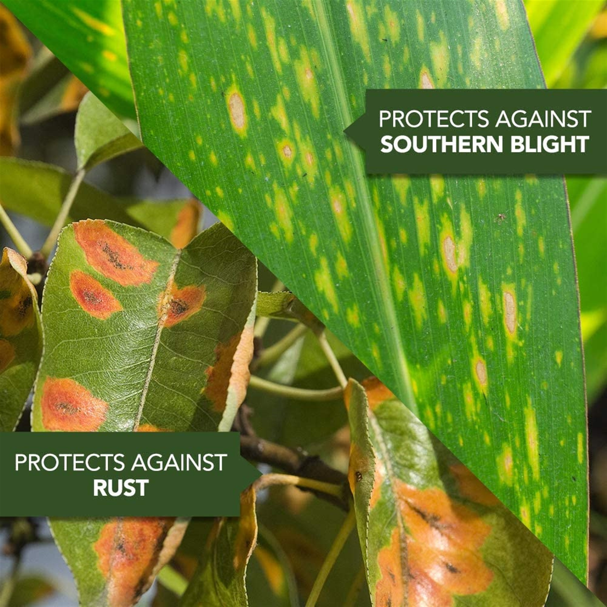 BioAdvanced 3-in-1 Insect Disease & Mite Control Concentrate - 32 oz.