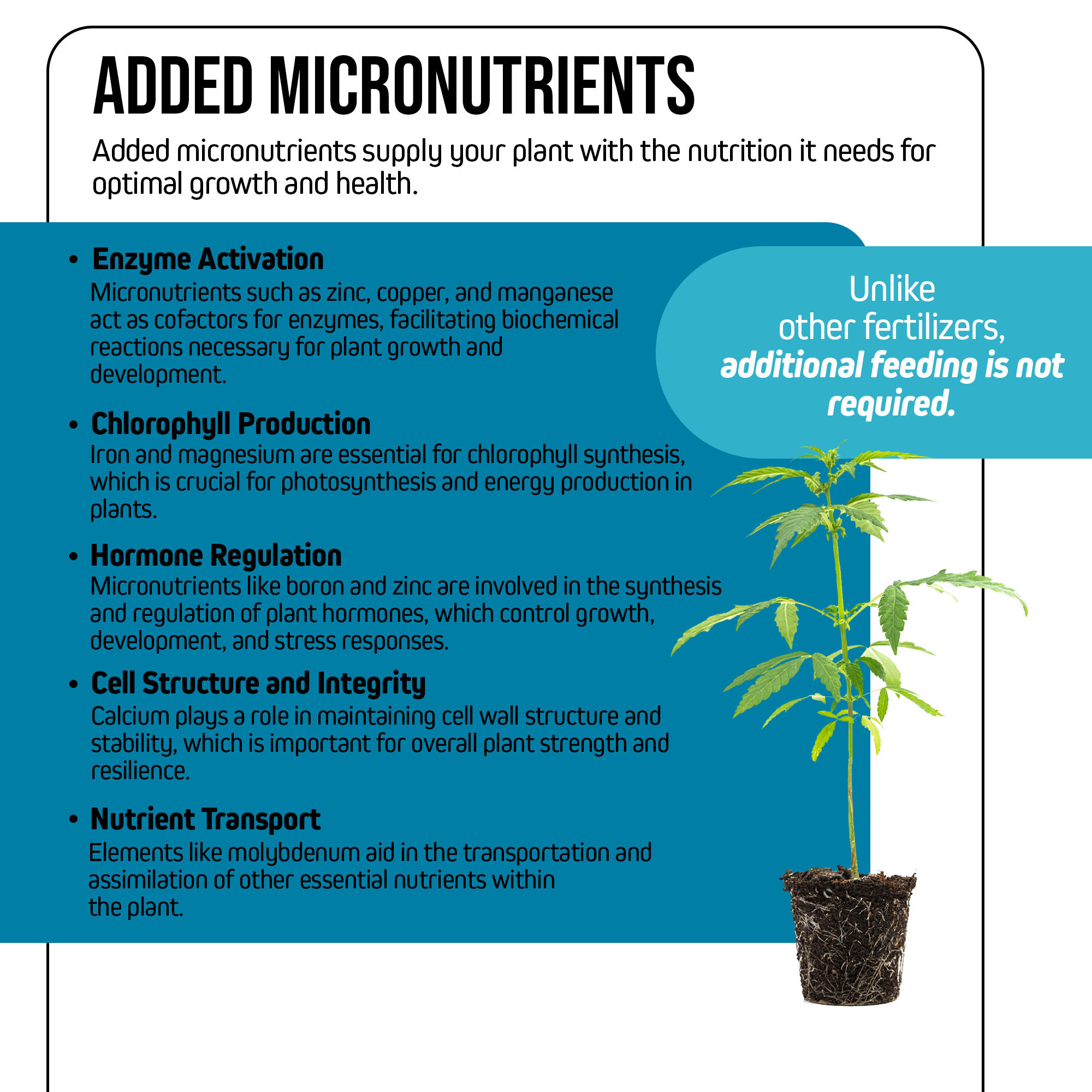 Jack's Nutrients 15-6-17 Clone Water-Soluble Fertilizer, 2.2lbs