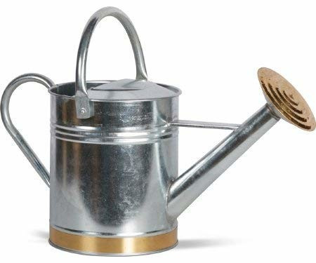 LF Centennial PTE LTD Galvanized 1 Gallon Traditional Watering Can