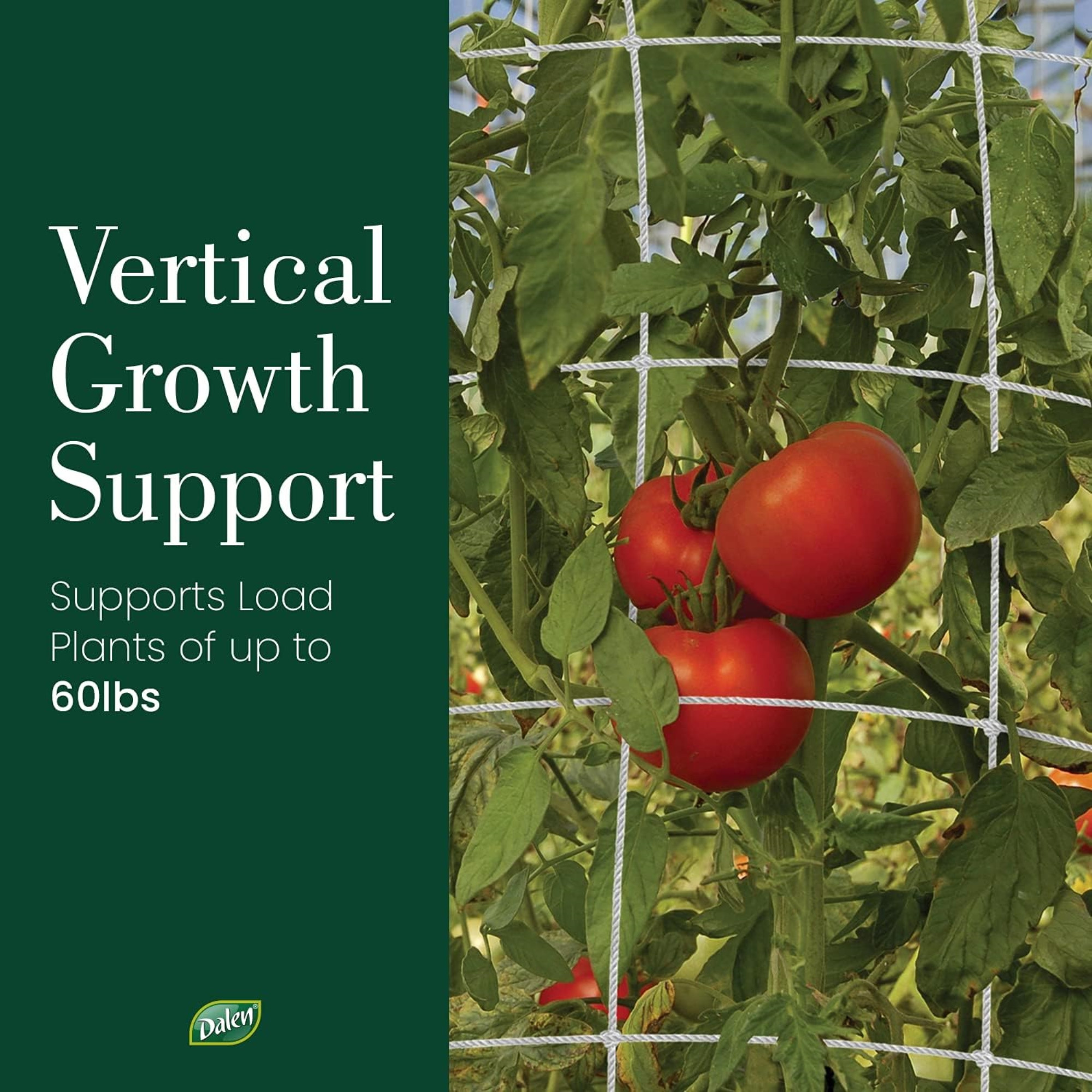 Dalen Products Heavy-Duty Trellis Netting for Vertical Gardening, 5 x 15 ft