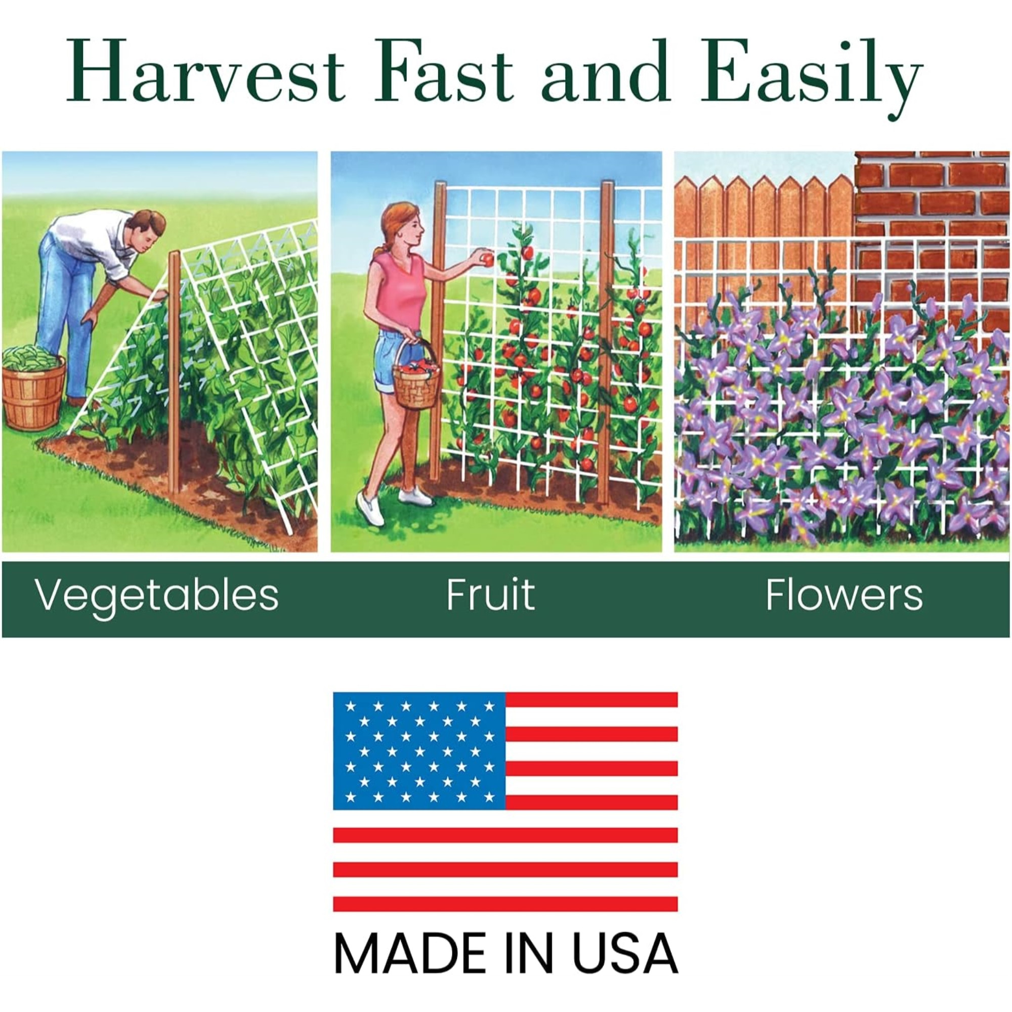 Dalen Products Heavy-Duty Trellis Netting for Vertical Gardening, 5 x 15 ft