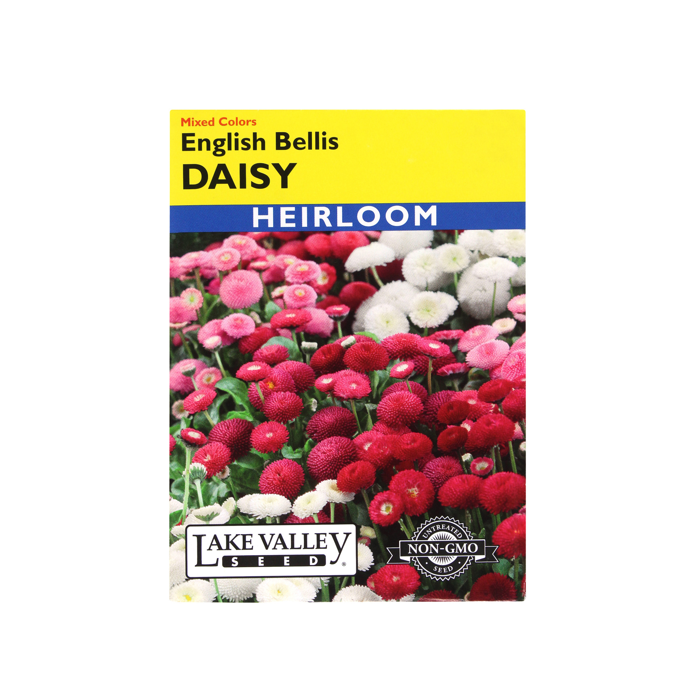 Lake Valley Seeds Daisy, English Bellis Mixed Colors Heirloom, 0.15g